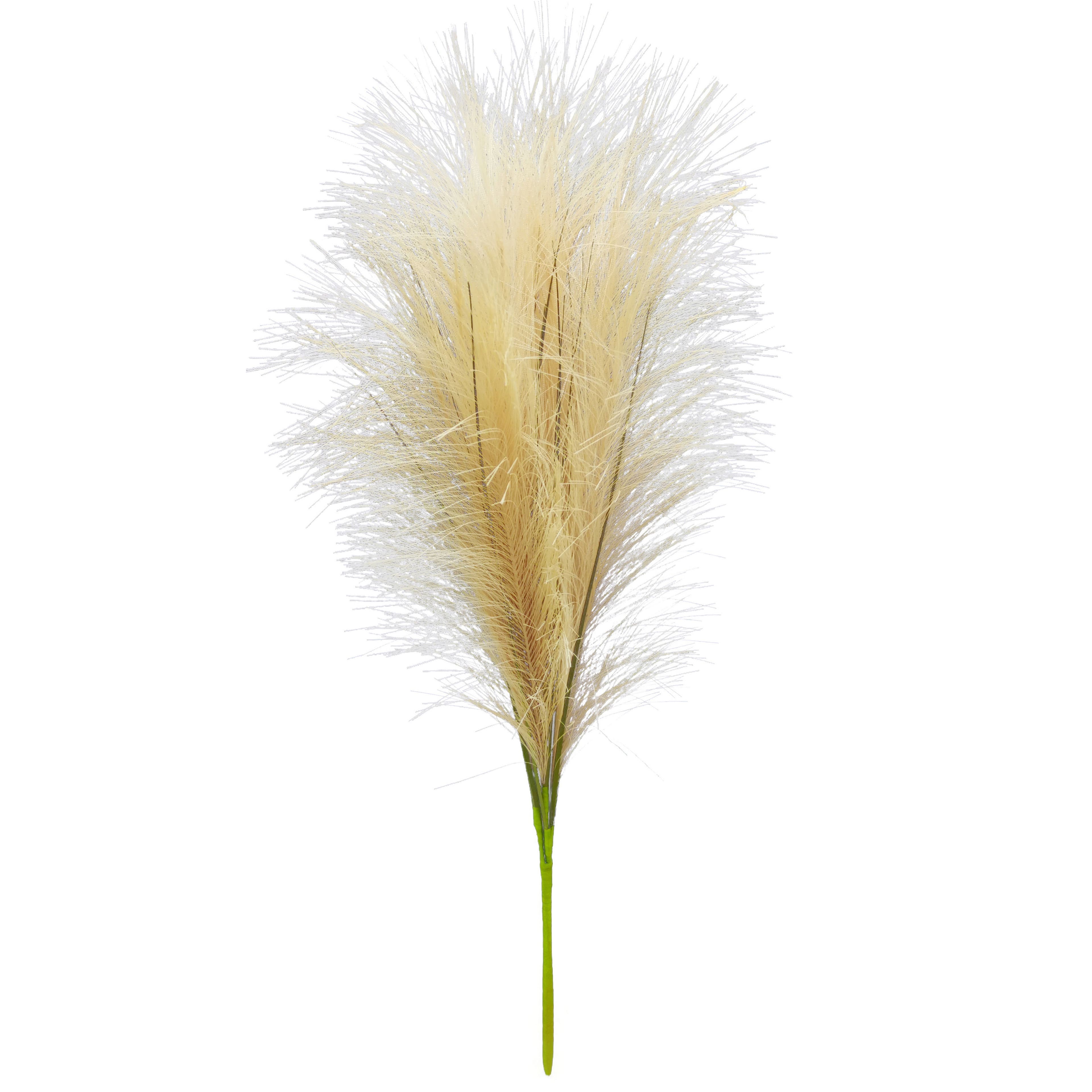 24&#x22; Pampas Grass Bush by Ashland&#xAE;