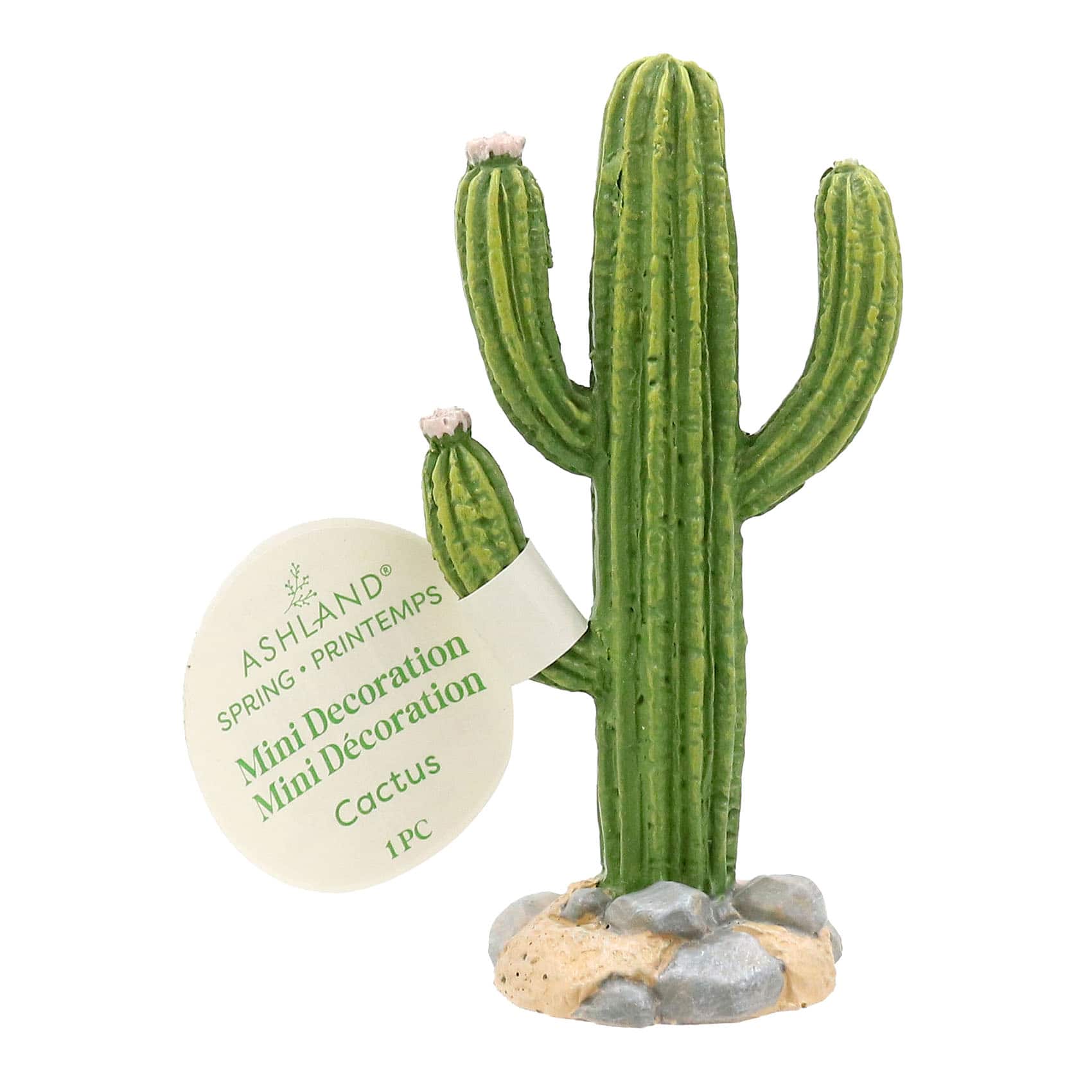 Mini Cactus Decoration by Ashland®