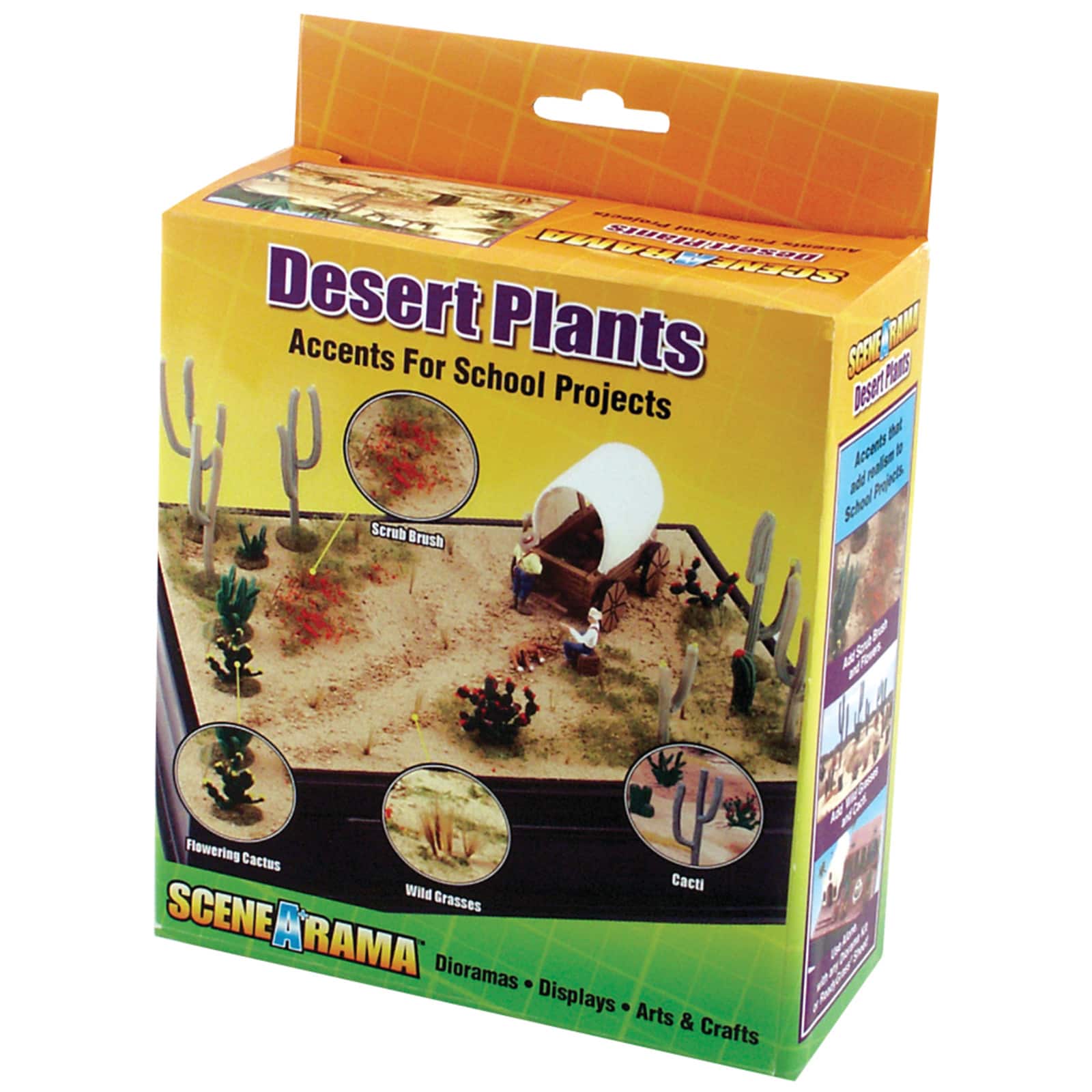 How to Make a Desert Diorama Craft