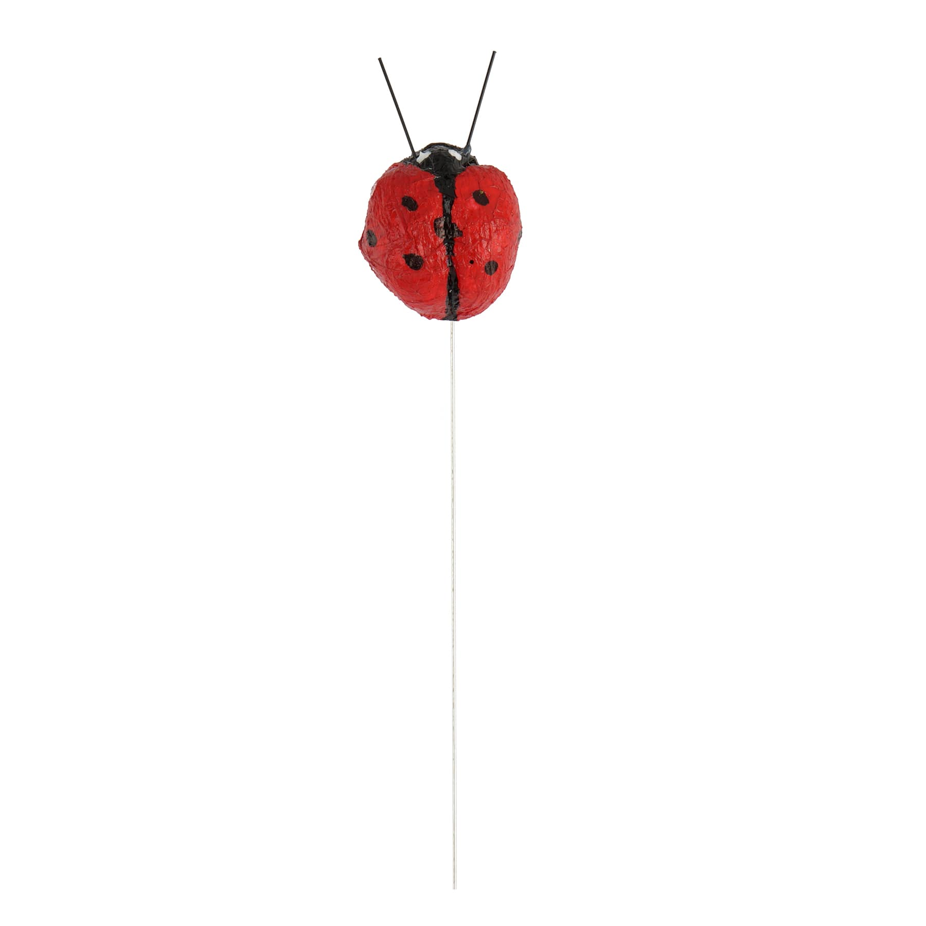 Ladybugs, 4ct. by Ashland&#xAE;