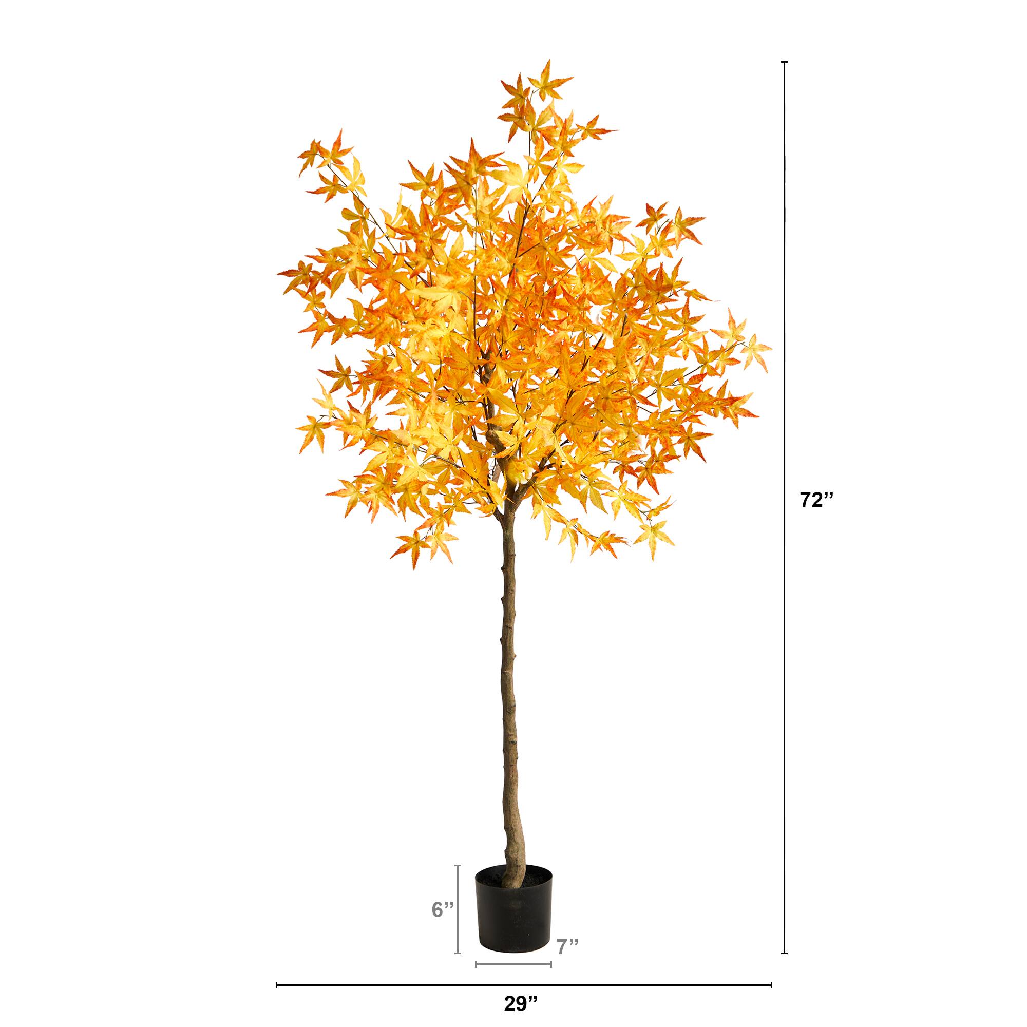 6ft. Potted Yellow Autumn Maple Tree