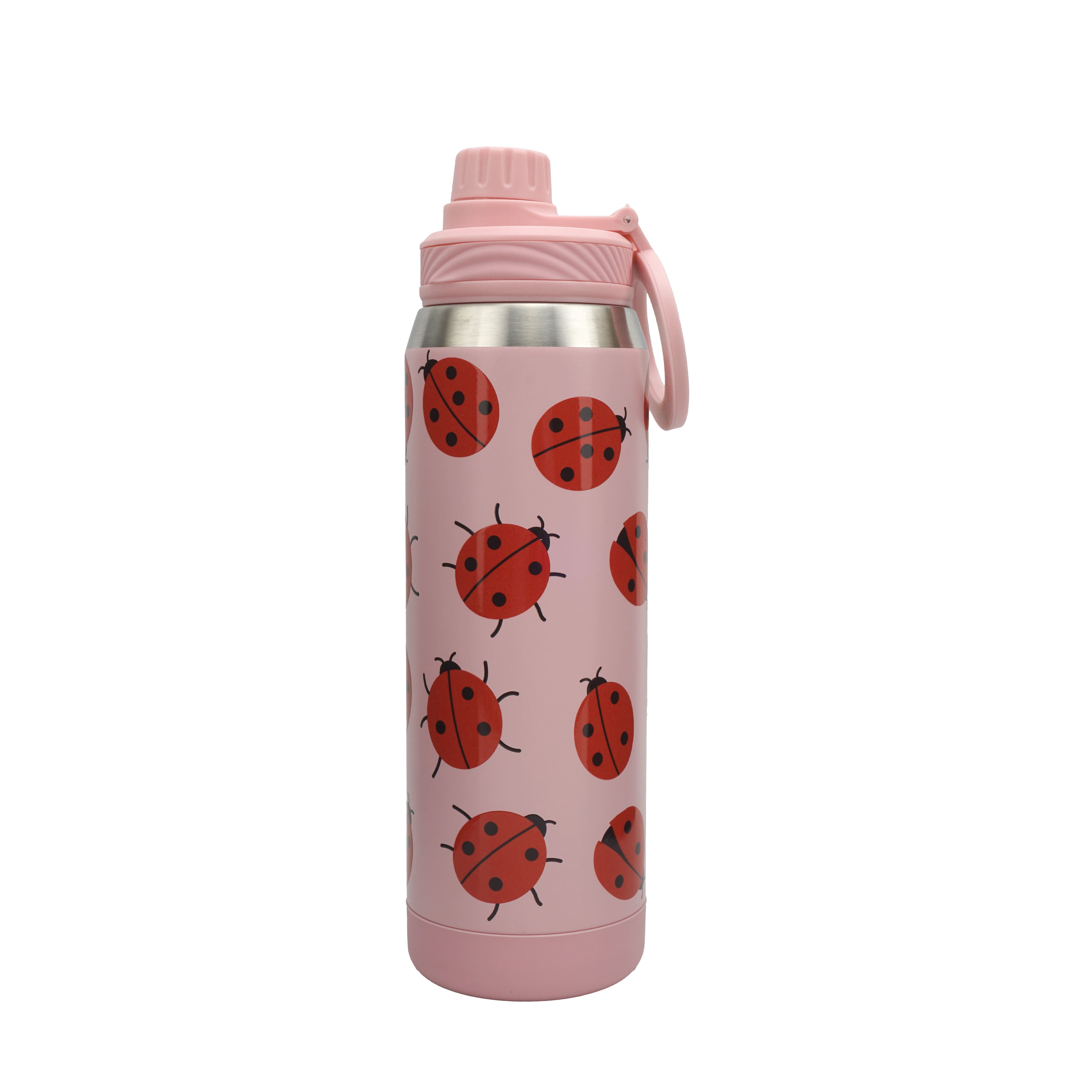 25oz. Stainless Steel Insulated Sports Bottle by Ashland®