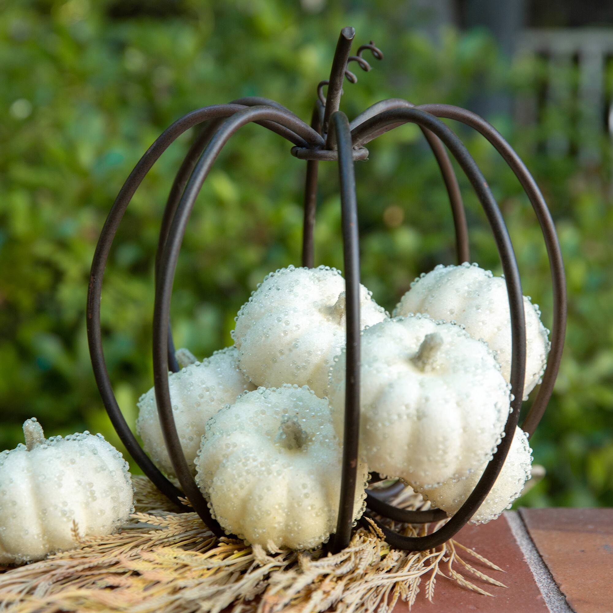 Flora Bunda® Beaded Cream Pumpkins Set