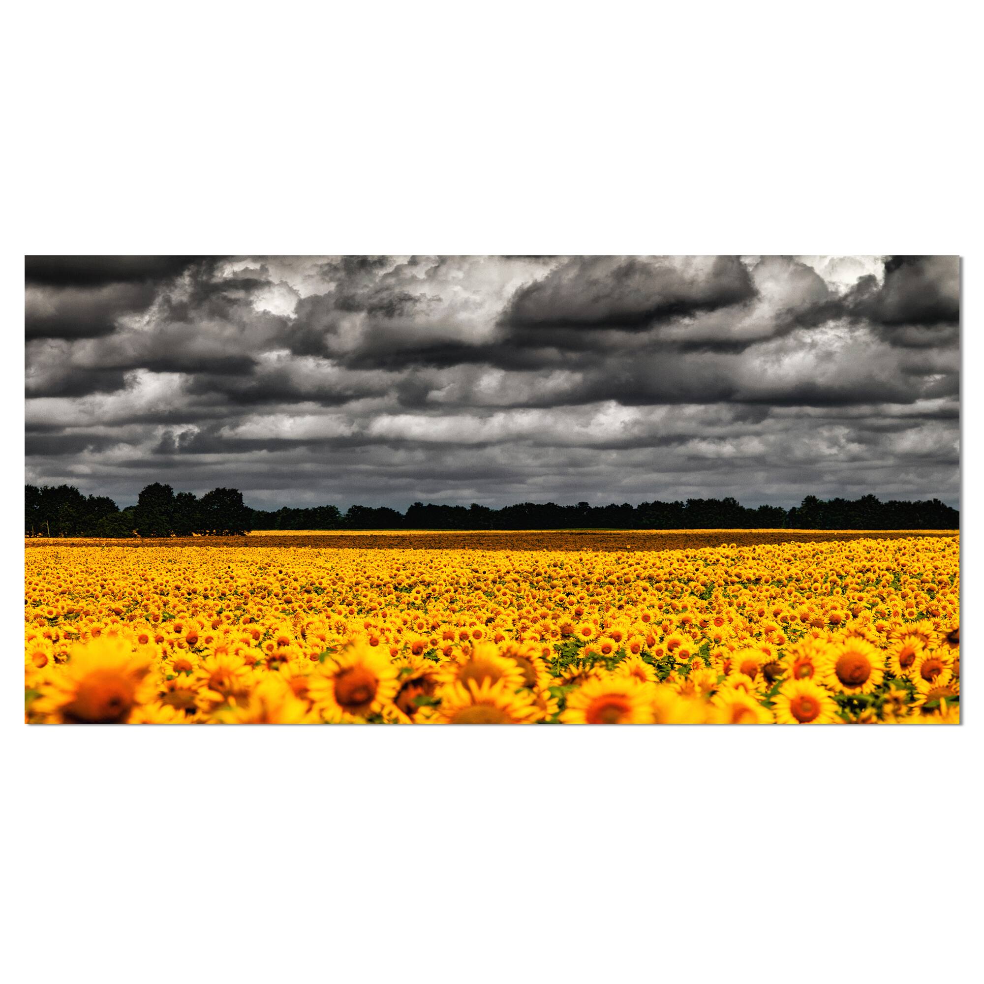 Designart - Van Gogh Summer with Clouds - Landscape Artwork Canvas