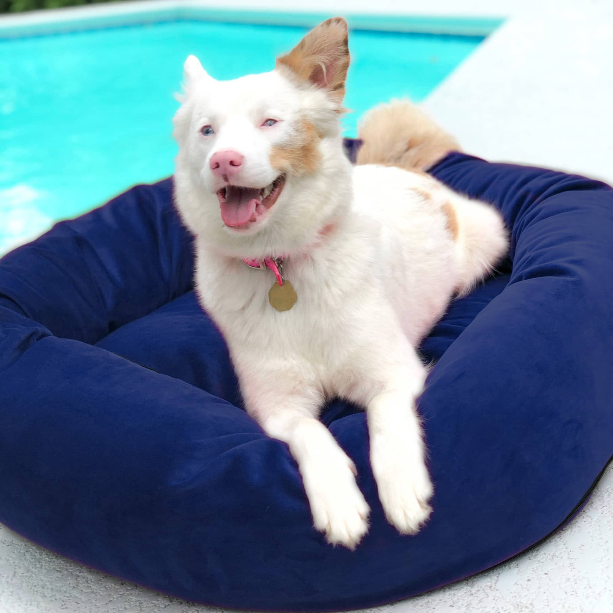Royal Pet Bed Small Washable Luxury Velvet Dog Bed
