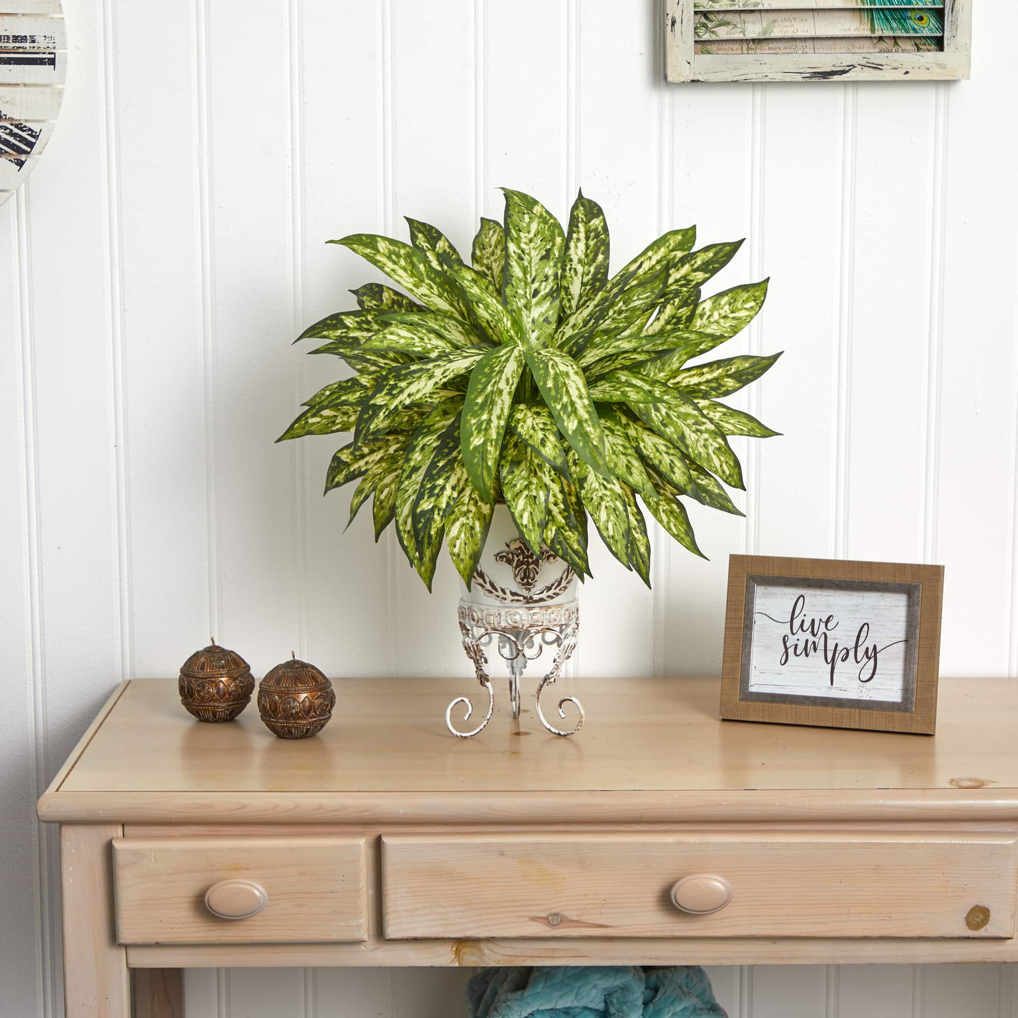 24" Aglaonema with White Metal Planter