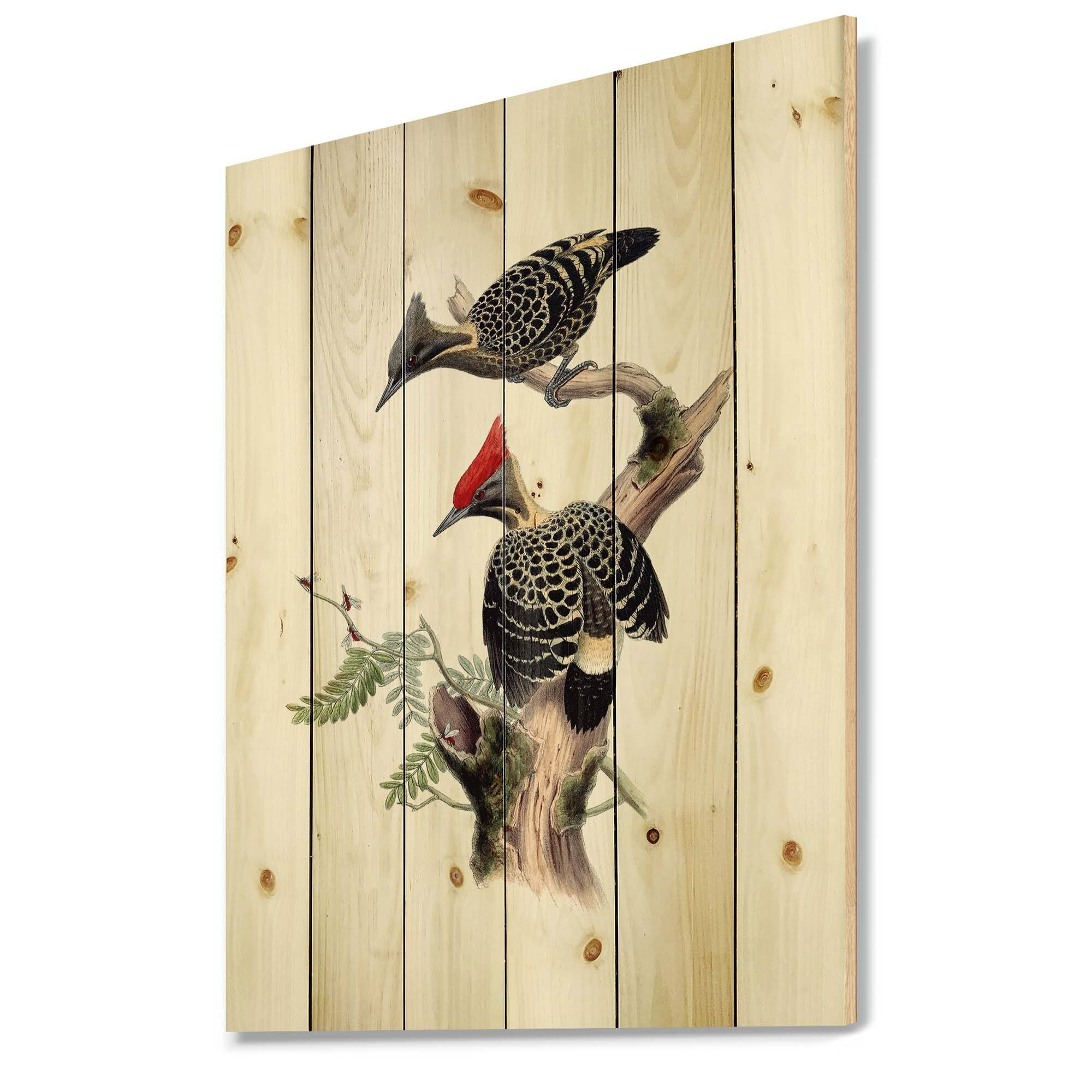 Designart - Vintage Birds In The Wild VI - Traditional Print on Natural Pine Wood
