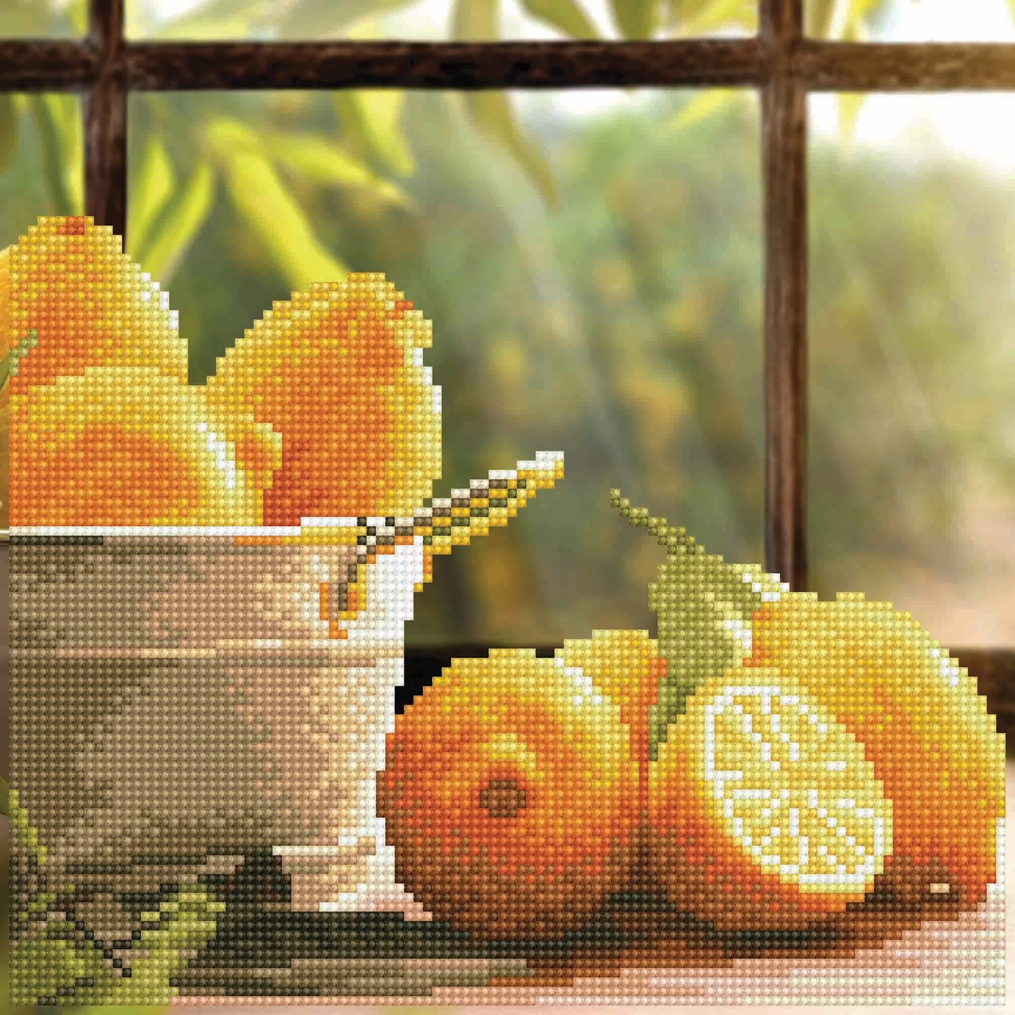 Diamond Art by Leisure Arts Moderate Lemons Kit