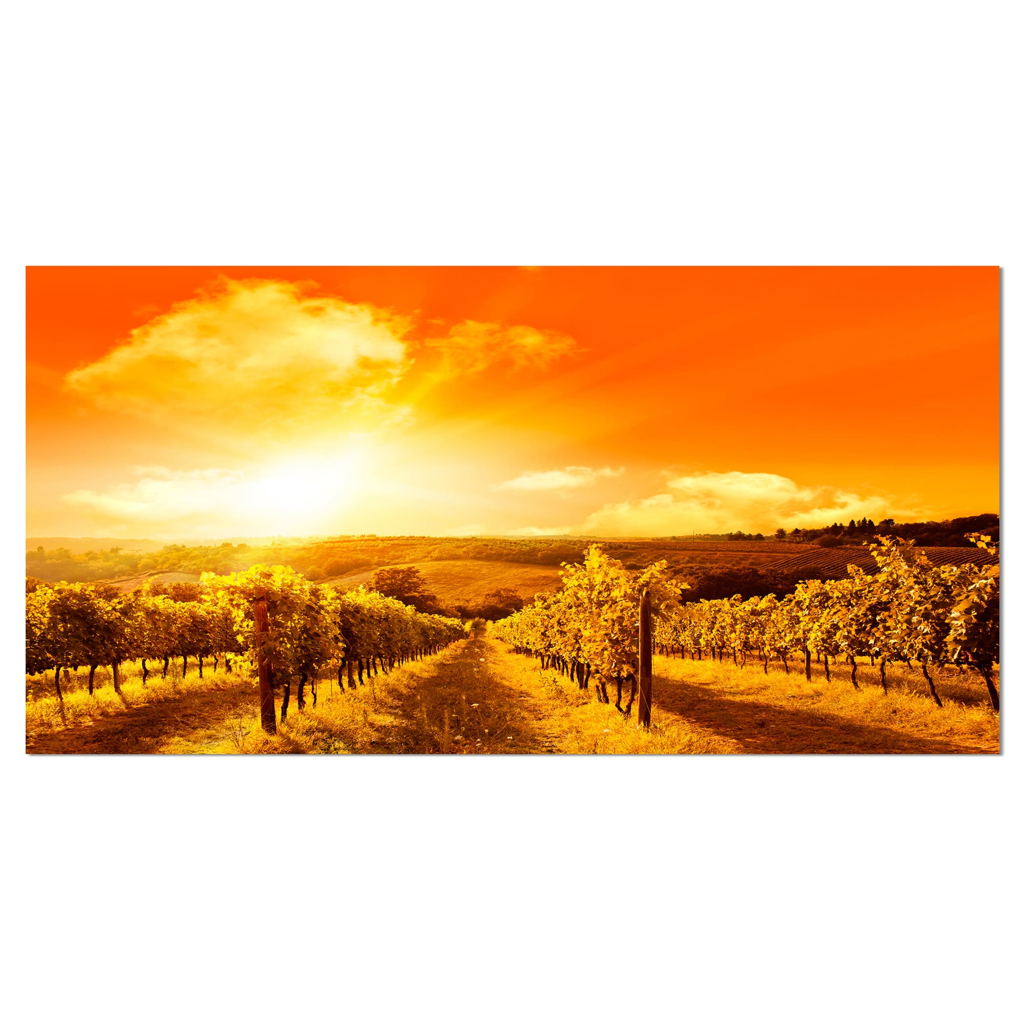 Designart - Scenic Sunset Road in Italy - Large Landscape Canvas Art