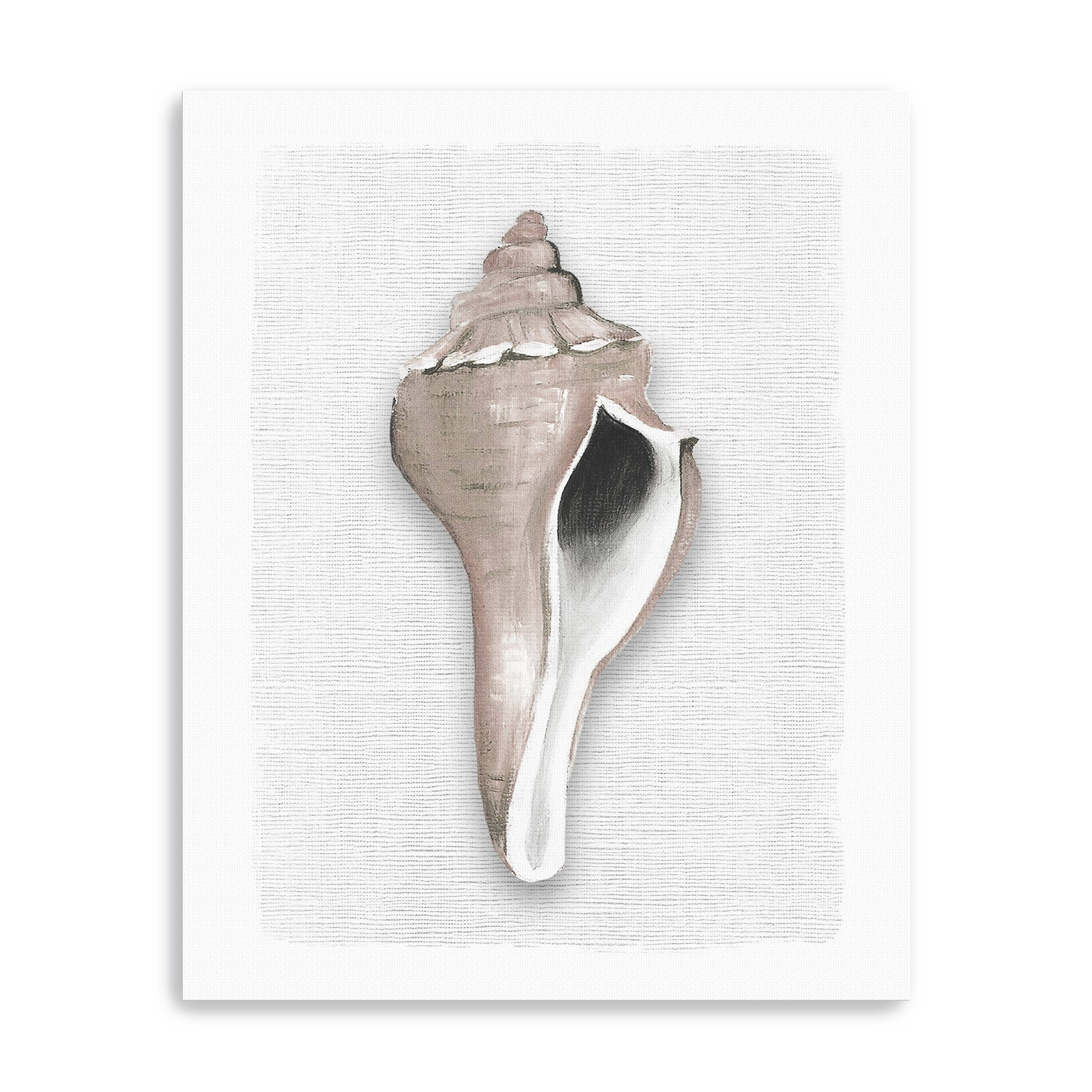 Sea Front Shell II Canvas Giclee