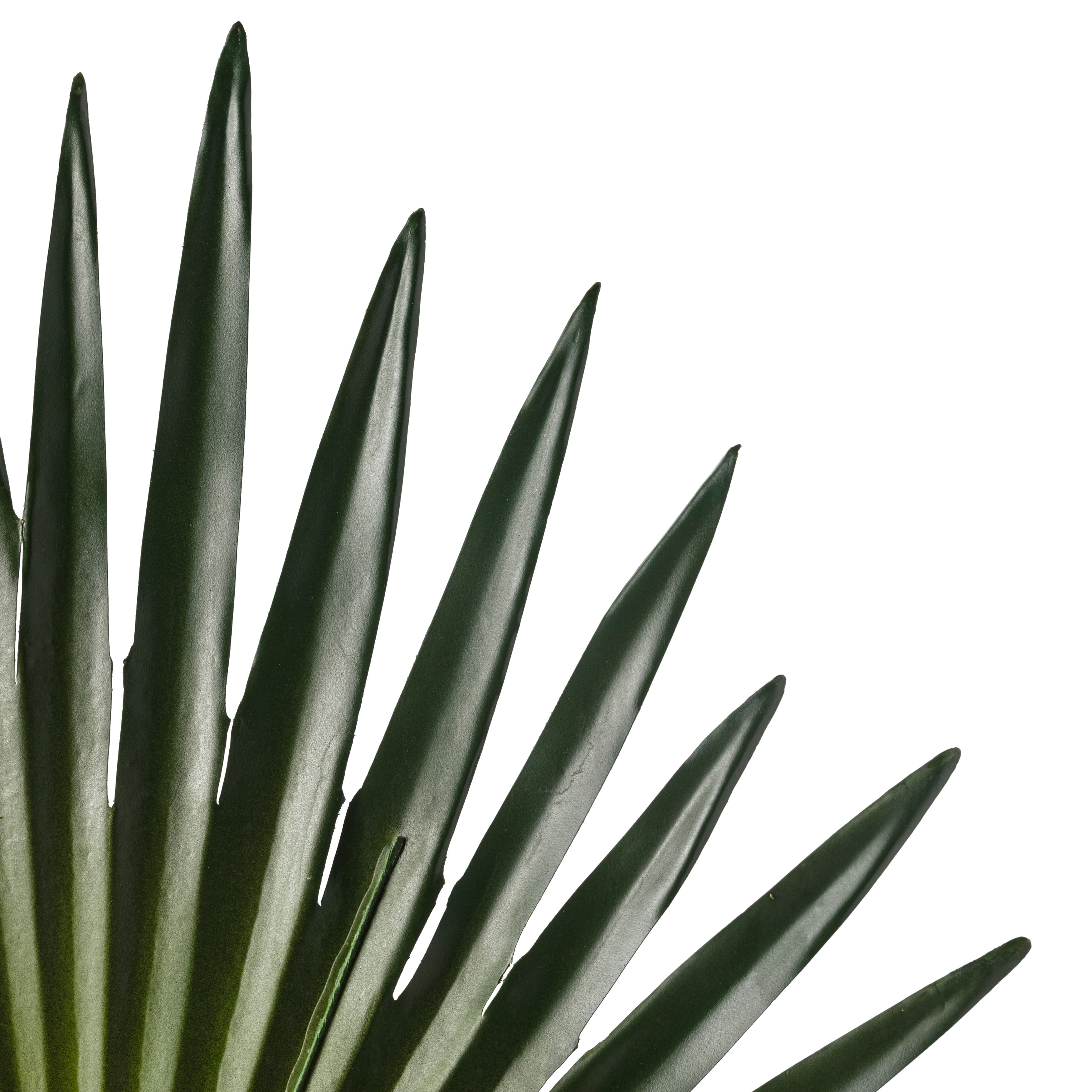 8 Pack: Green Fan Palm Stem by Ashland&#xAE;
