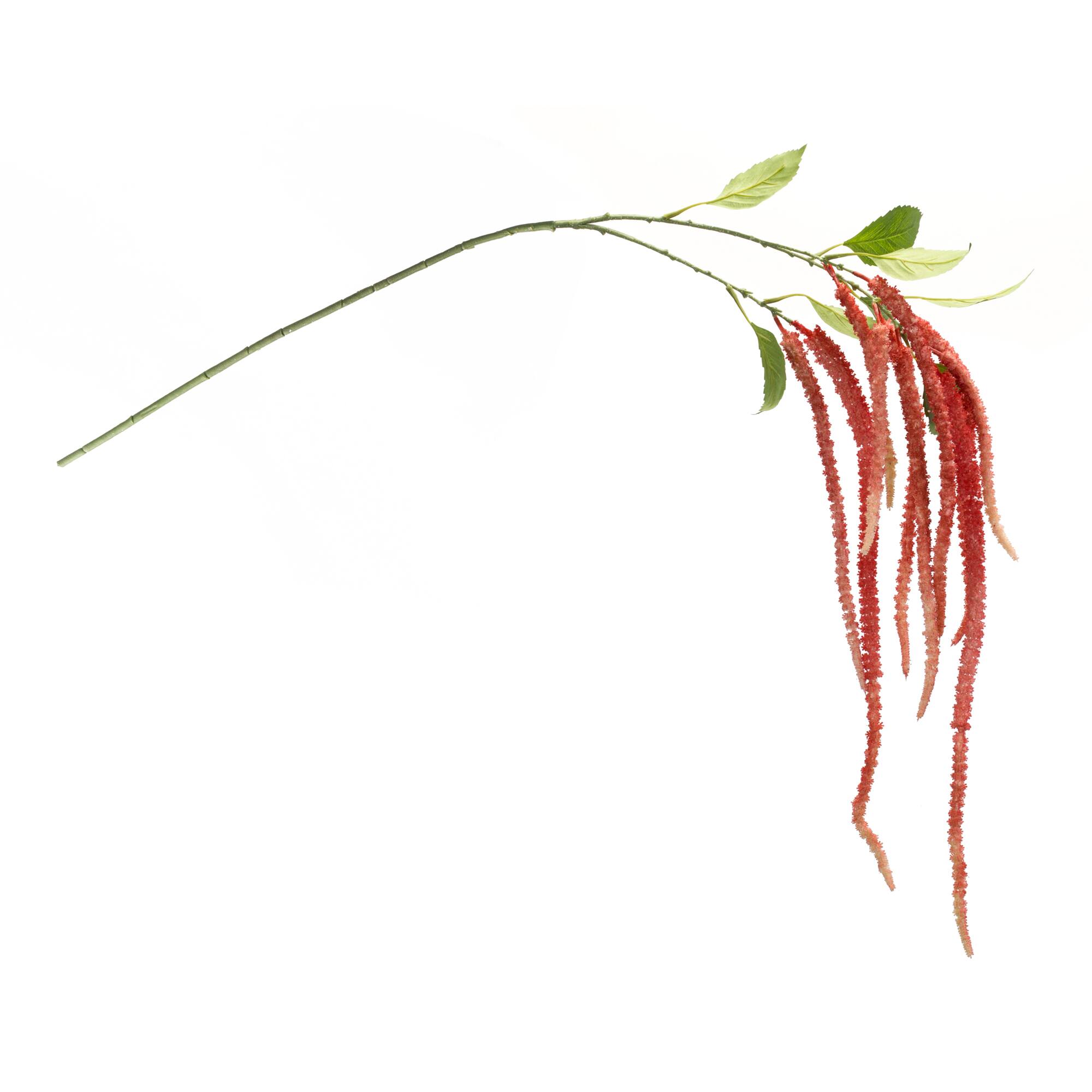 53.25&#x22; Red Amaranthus Floral Stems, 4ct.