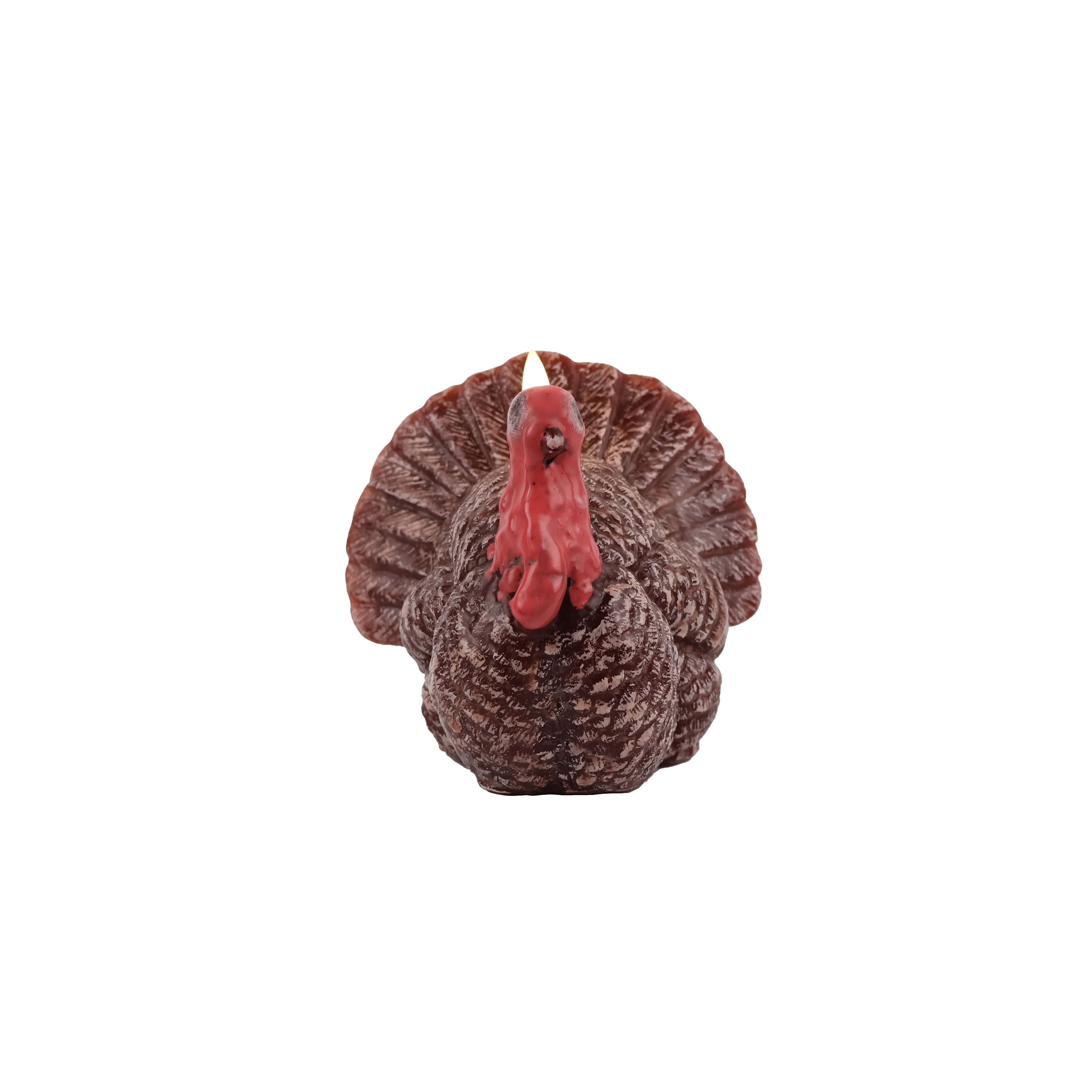 4.5&#x22; Turkey LED Candle by Ashland&#xAE;