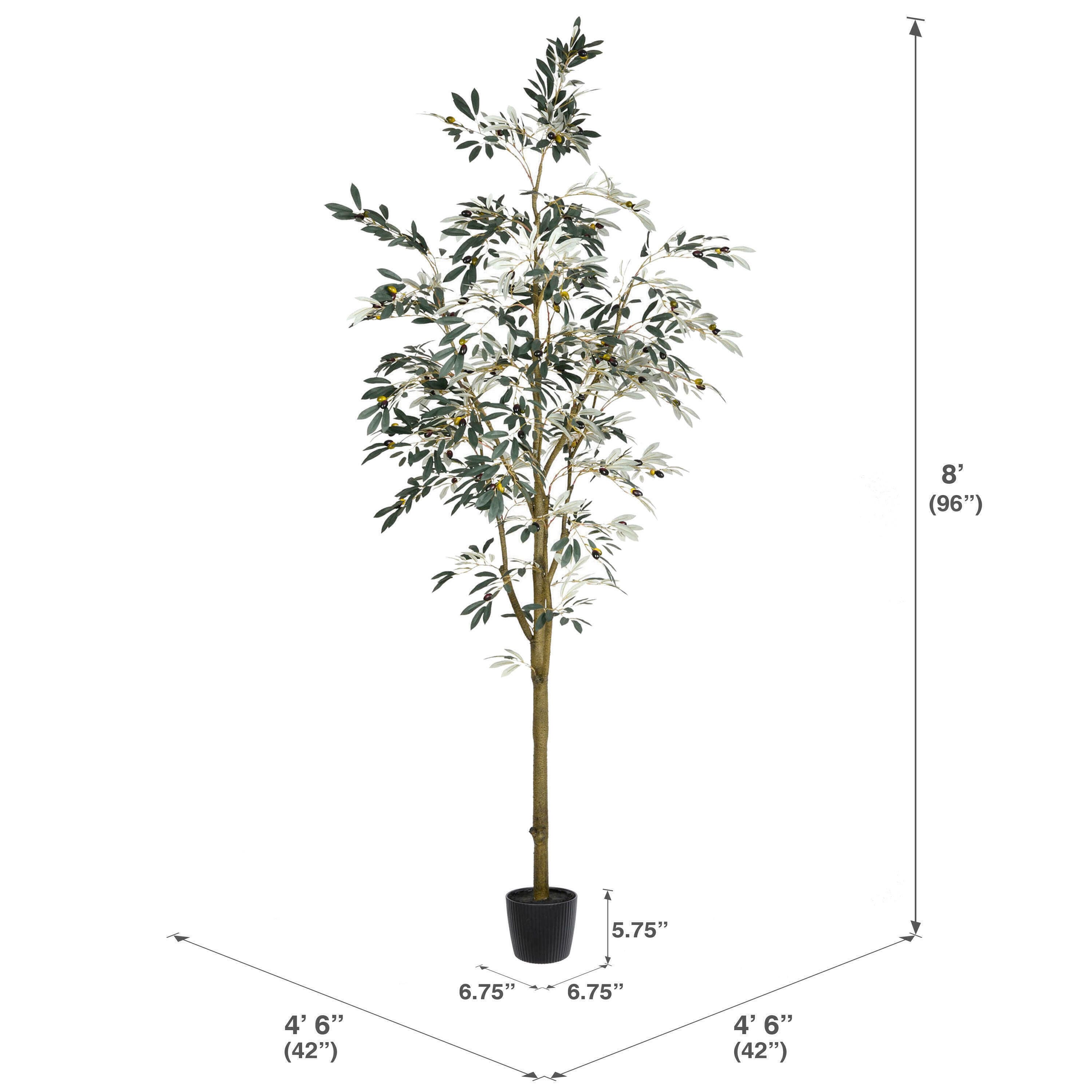 8ft. Potted Olive Tree