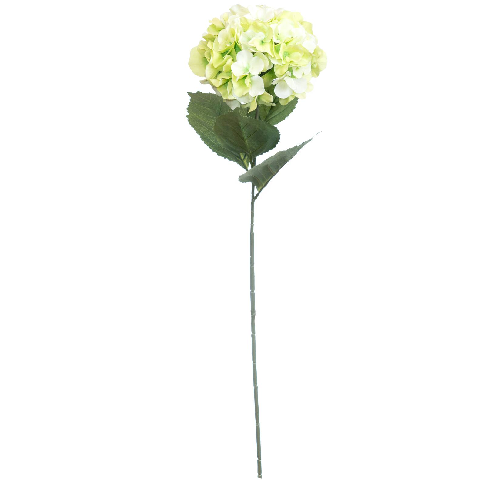 Green Hydrangea Stem by Ashland&#xAE;