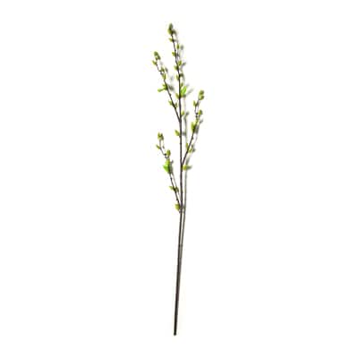Green Willow Stem by Ashland® image