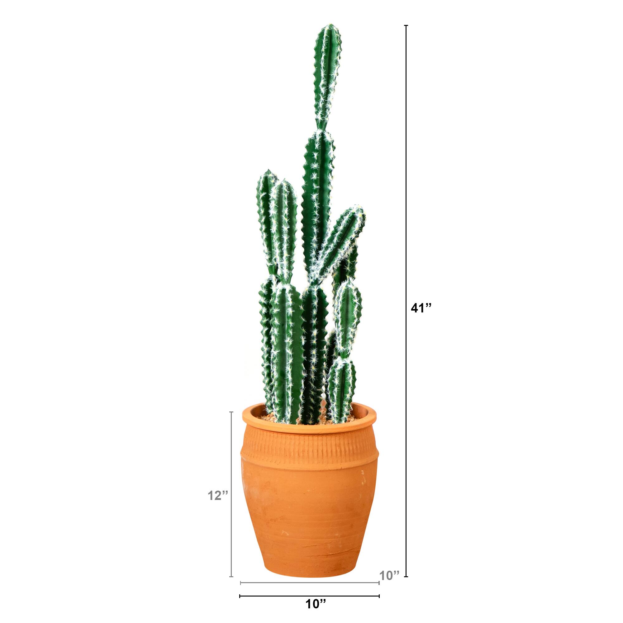 3ft. Cactus in Terracotta Planter