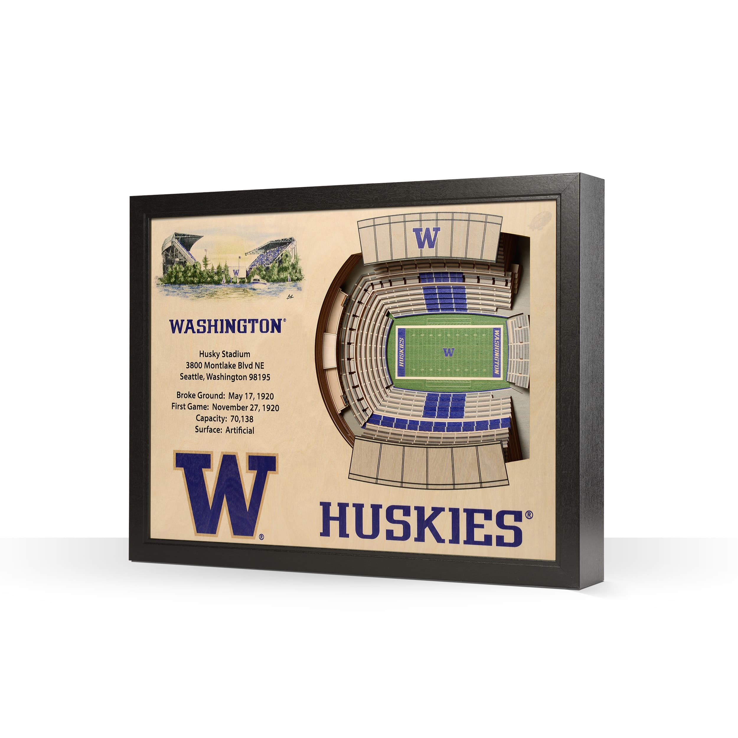 College Football 25-Layer StadiumView Wall Art