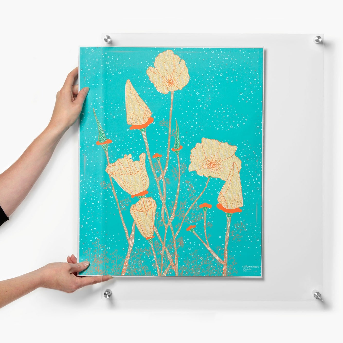 Wexel Art Single Panel Clear Acrylic Floating Wall Frame &#x26; Magnets with Silver Hardware