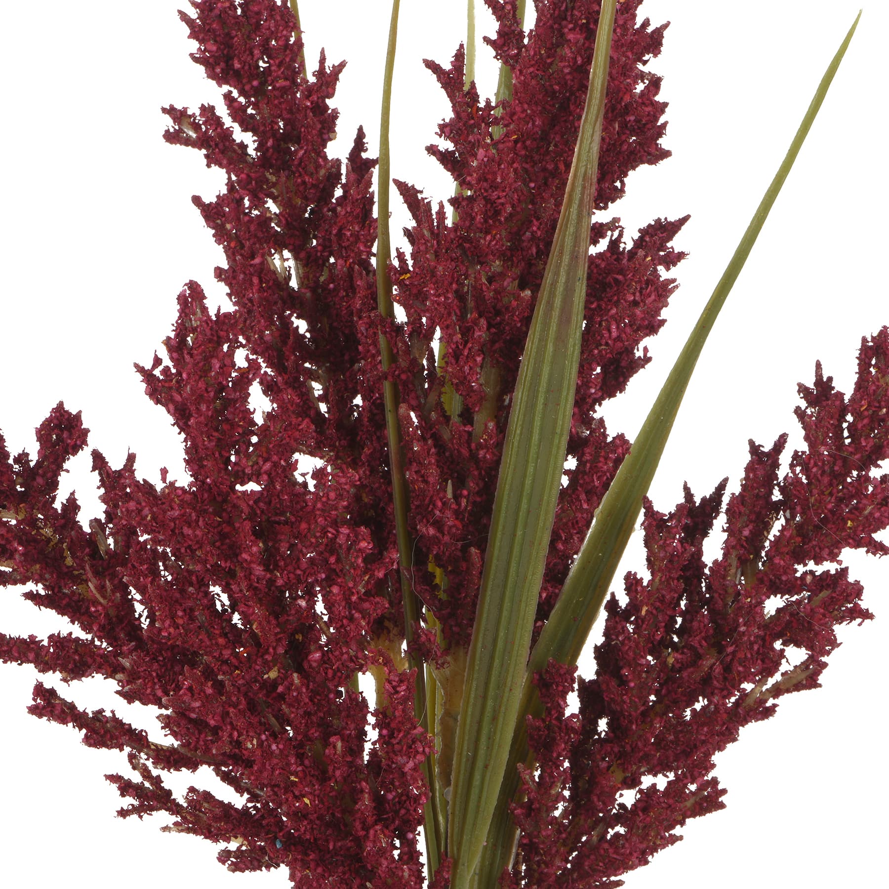 12&#x22; Mini Foxtail Bundle by Ashland&#xAE;