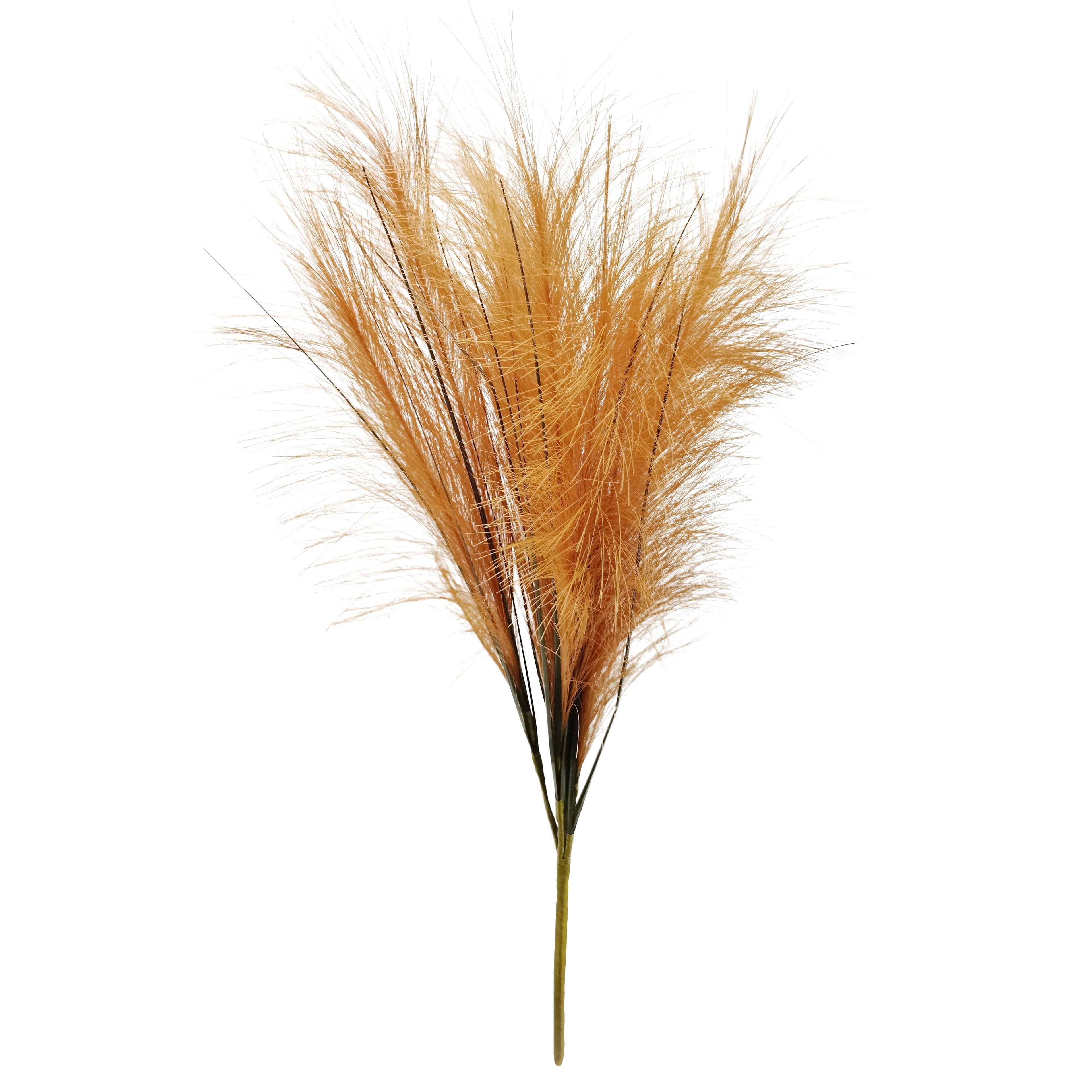 24&#x22; Pampas Grass Bush by Ashland&#xAE;