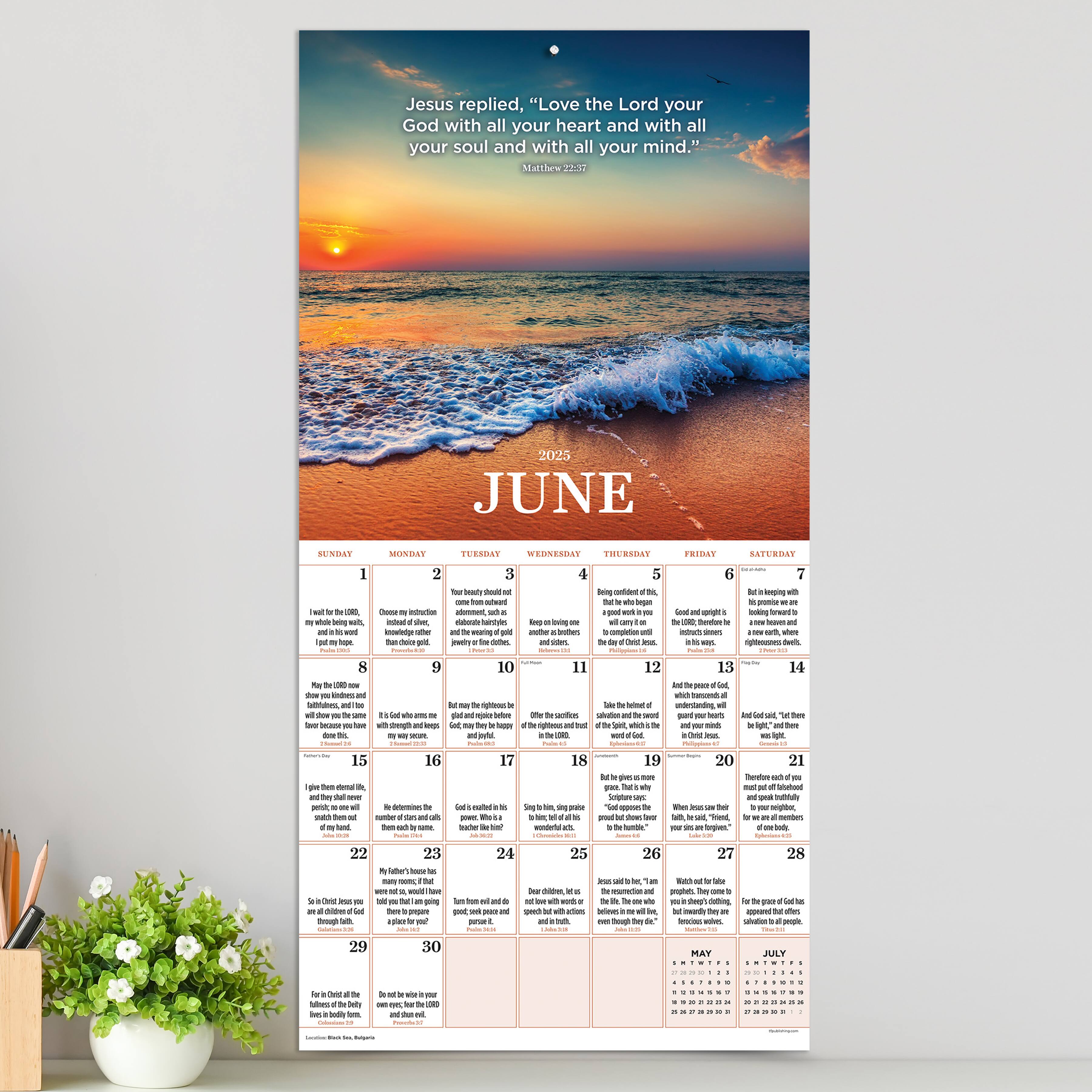 TF Publishing 2025 Daily Verse Wall Calendar