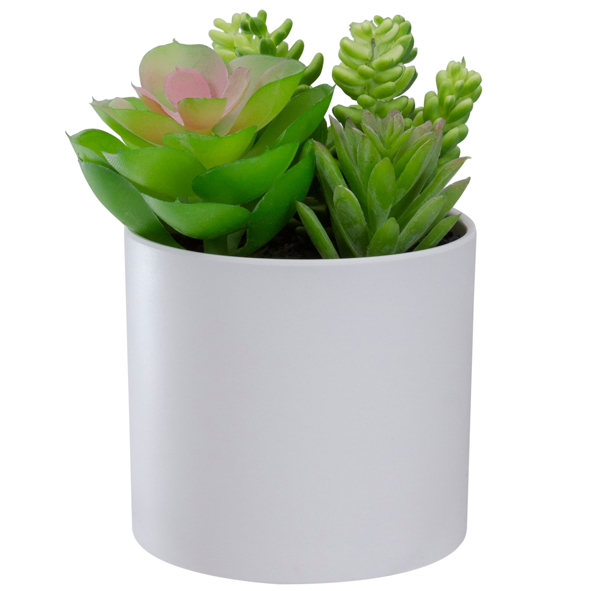 5.5&#x22; Mixed Succulent Arrangement in White Pot