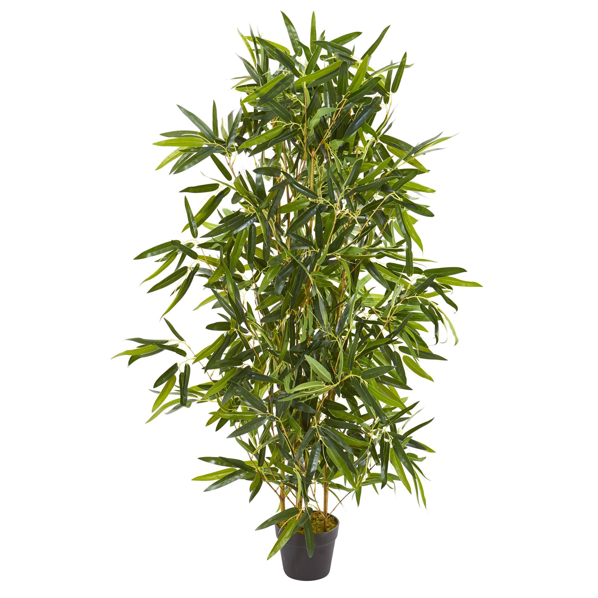 4ft. Potted Bamboo Tree