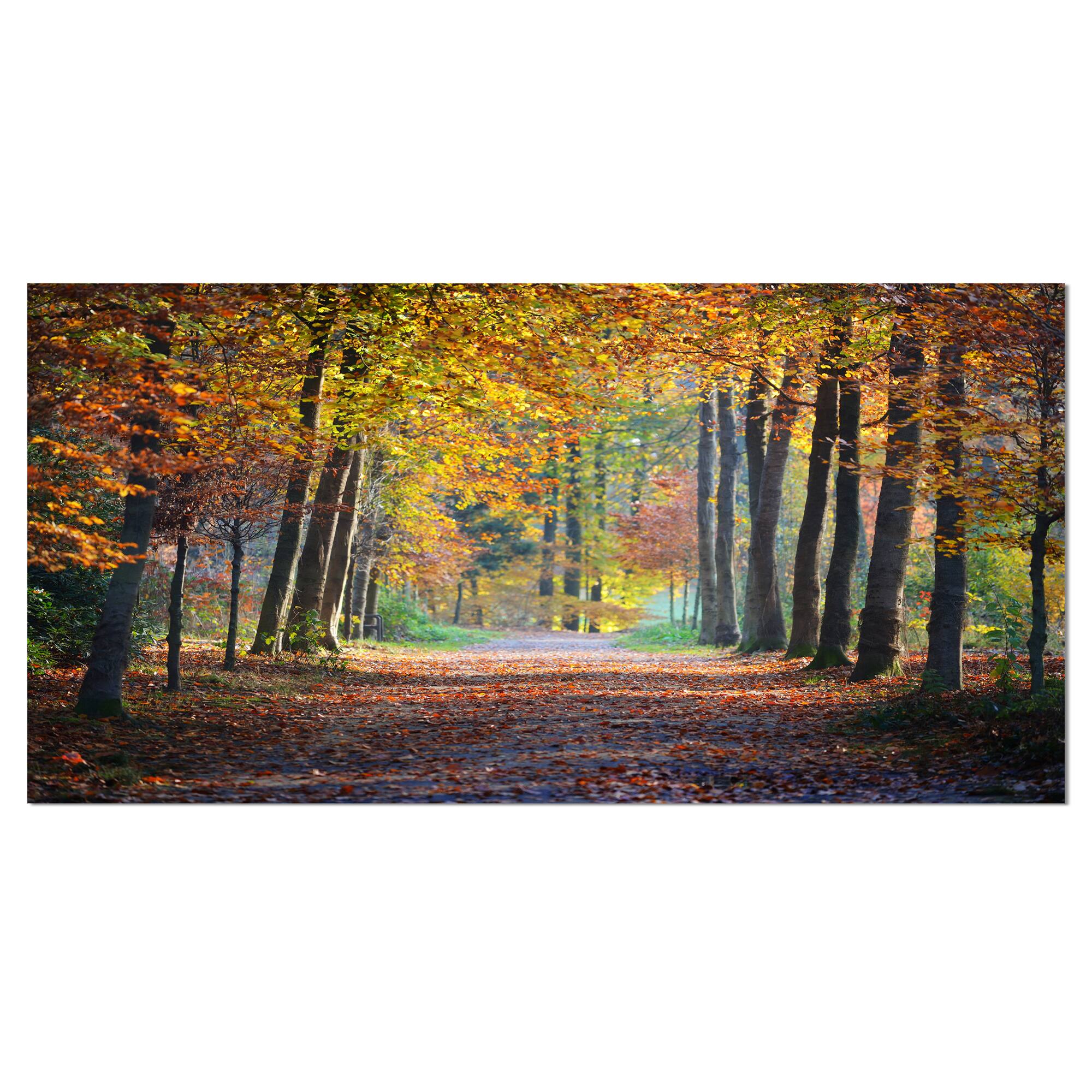 Designart - Wide Pathway in Yellow Fall Forest - Landscape Photography Canvas Print