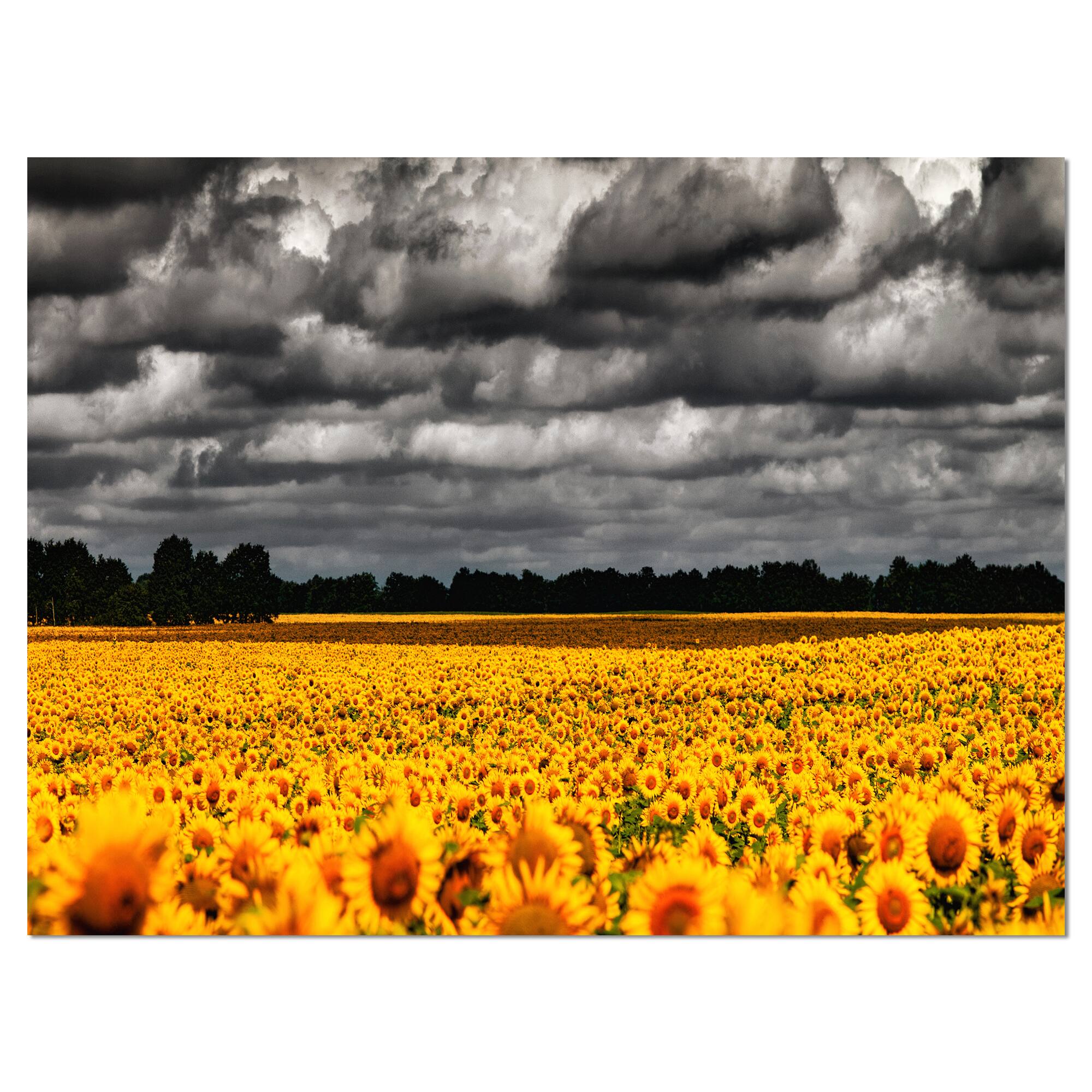 Designart - Van Gogh Summer with Clouds - Landscape Artwork Canvas