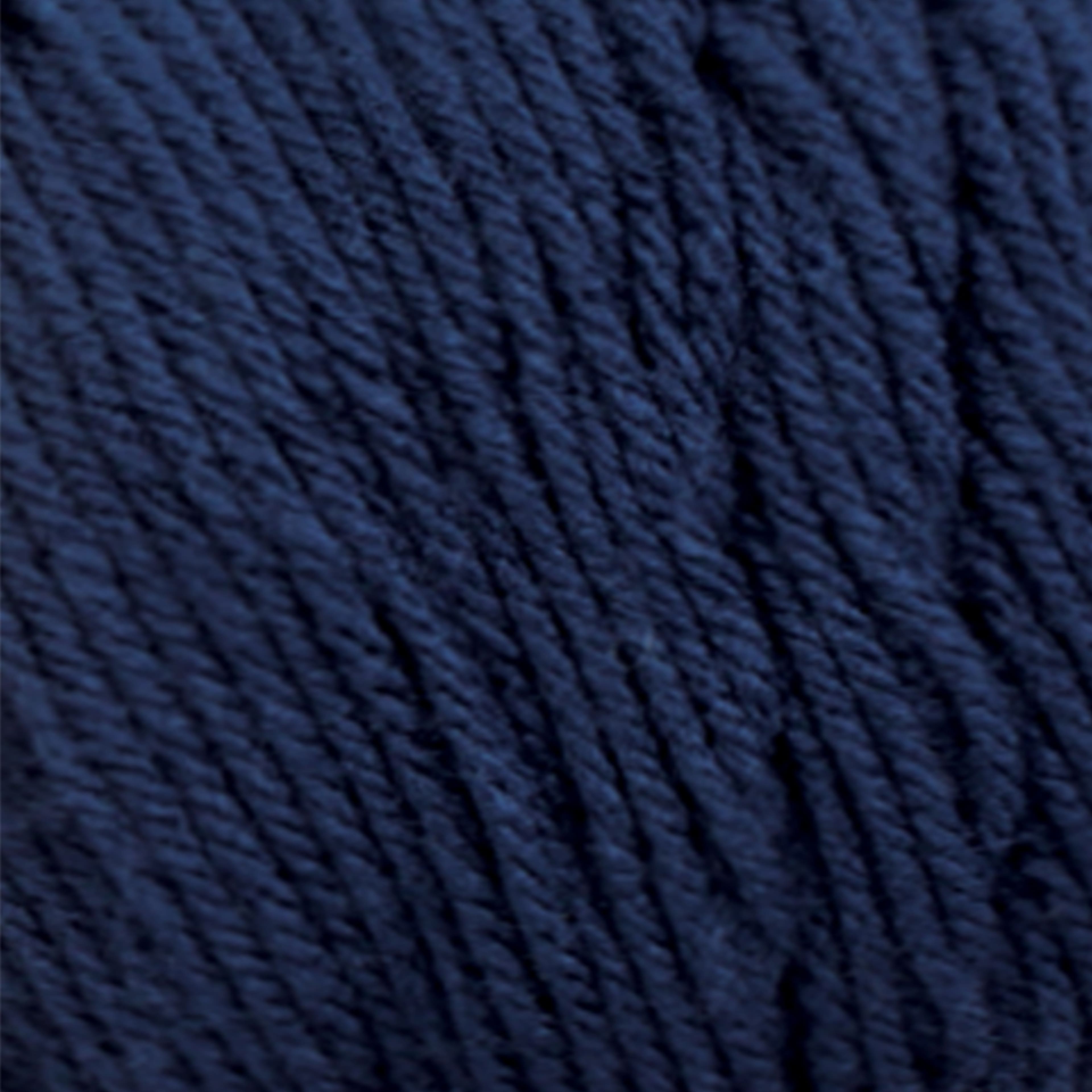 12 Pack: Big Twist&#xAE; Value Yarn