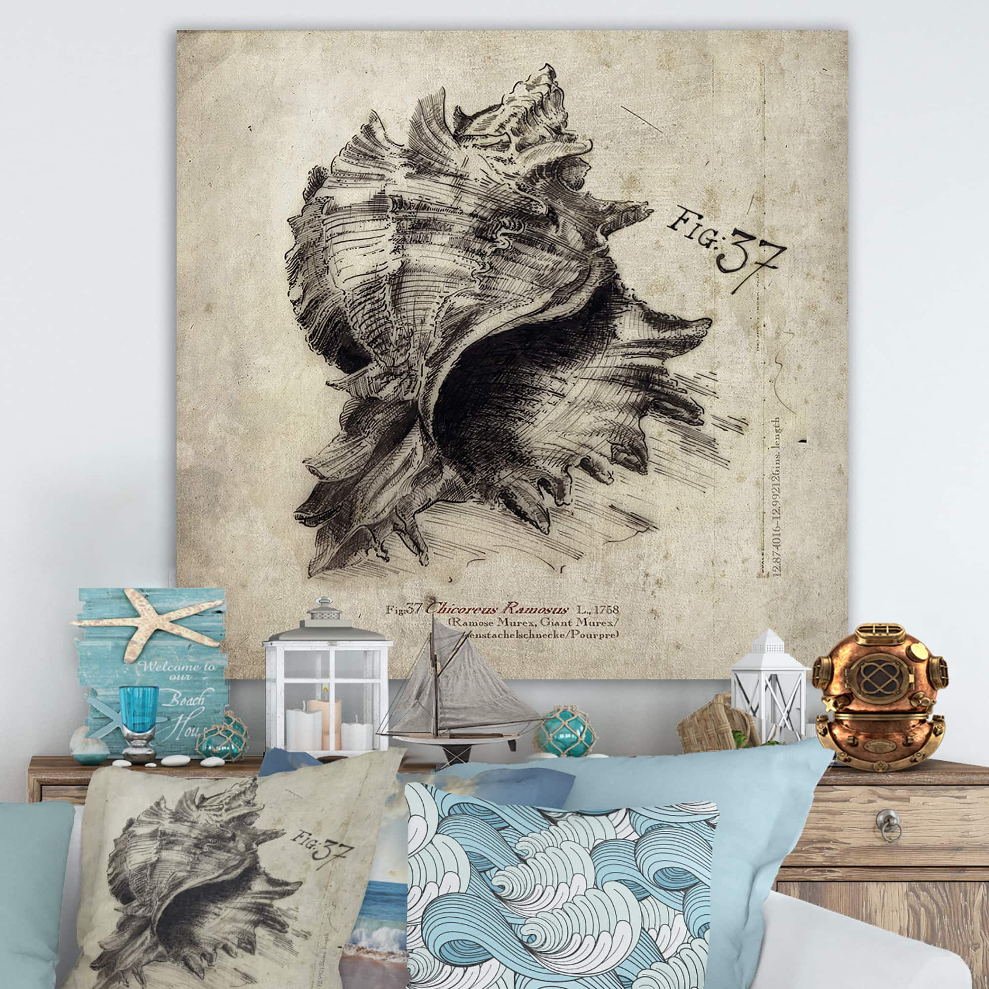 Designart - Sea Shell Old Style Sketch I - Nautical & Coastal Gallery-wrapped Canvas