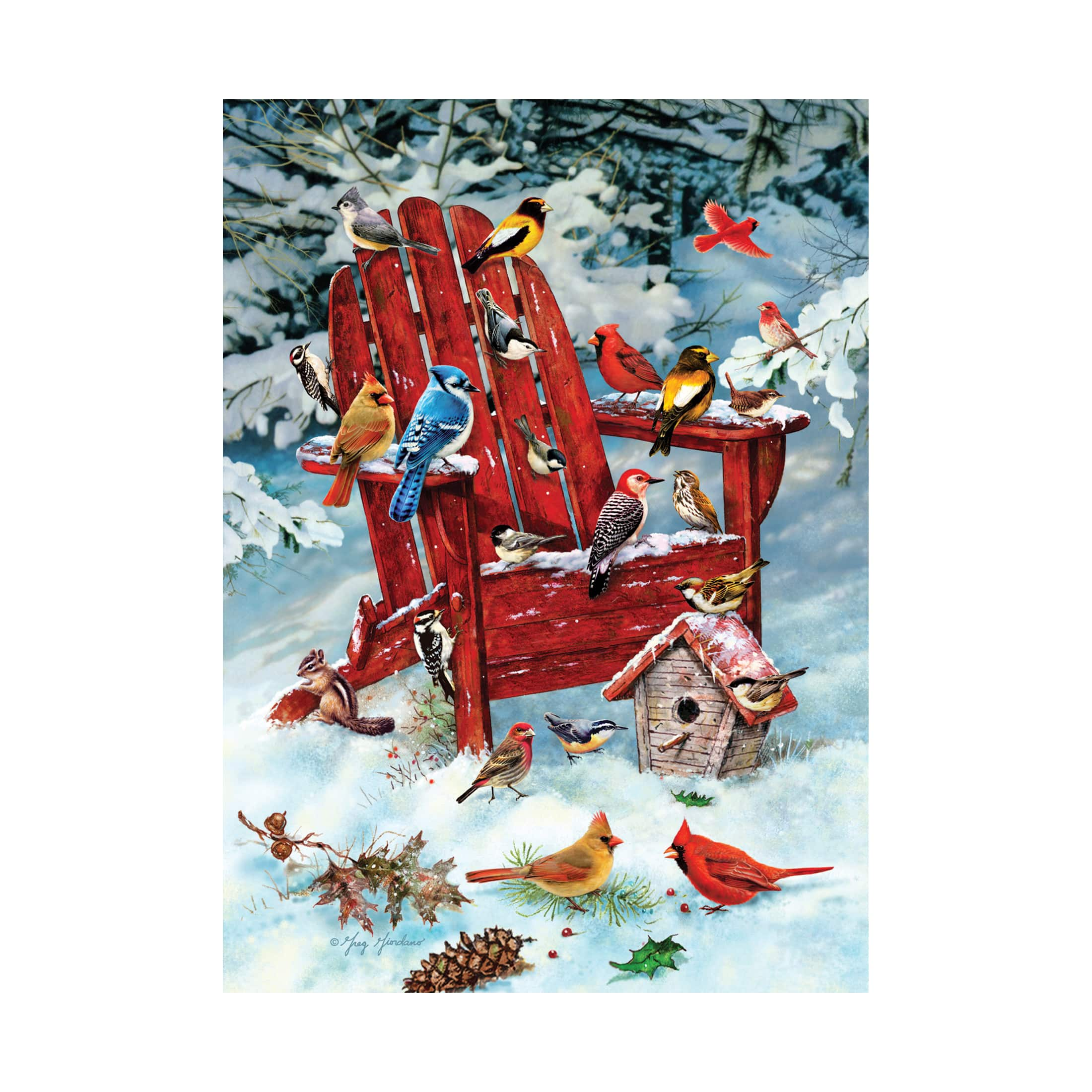 Cobble Hill Adirondack Birds 1,000 Piece Jigsaw Puzzle