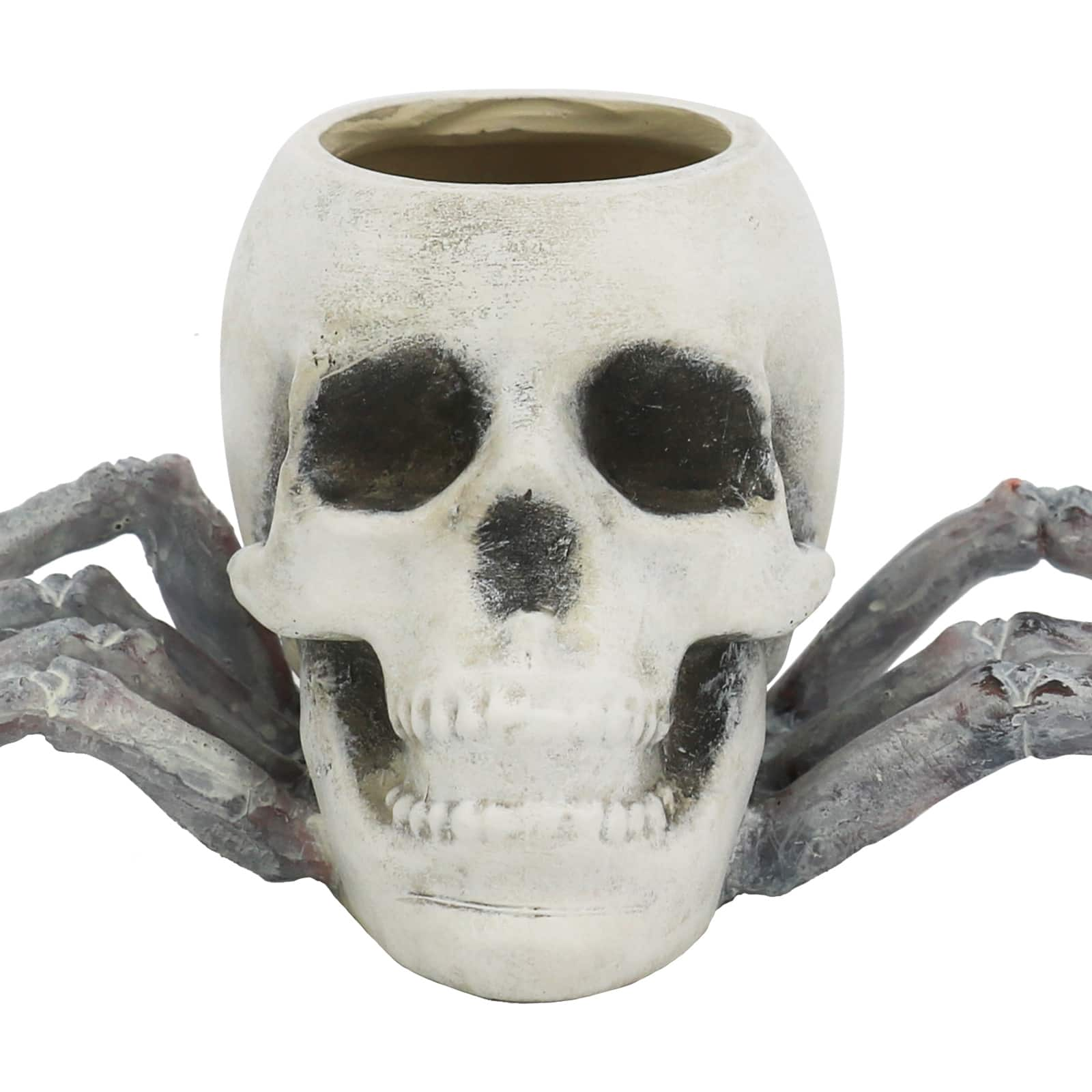 9.5&#x22; Spider Skull Tabletop D&#xE9;cor by Ashland&#xAE;