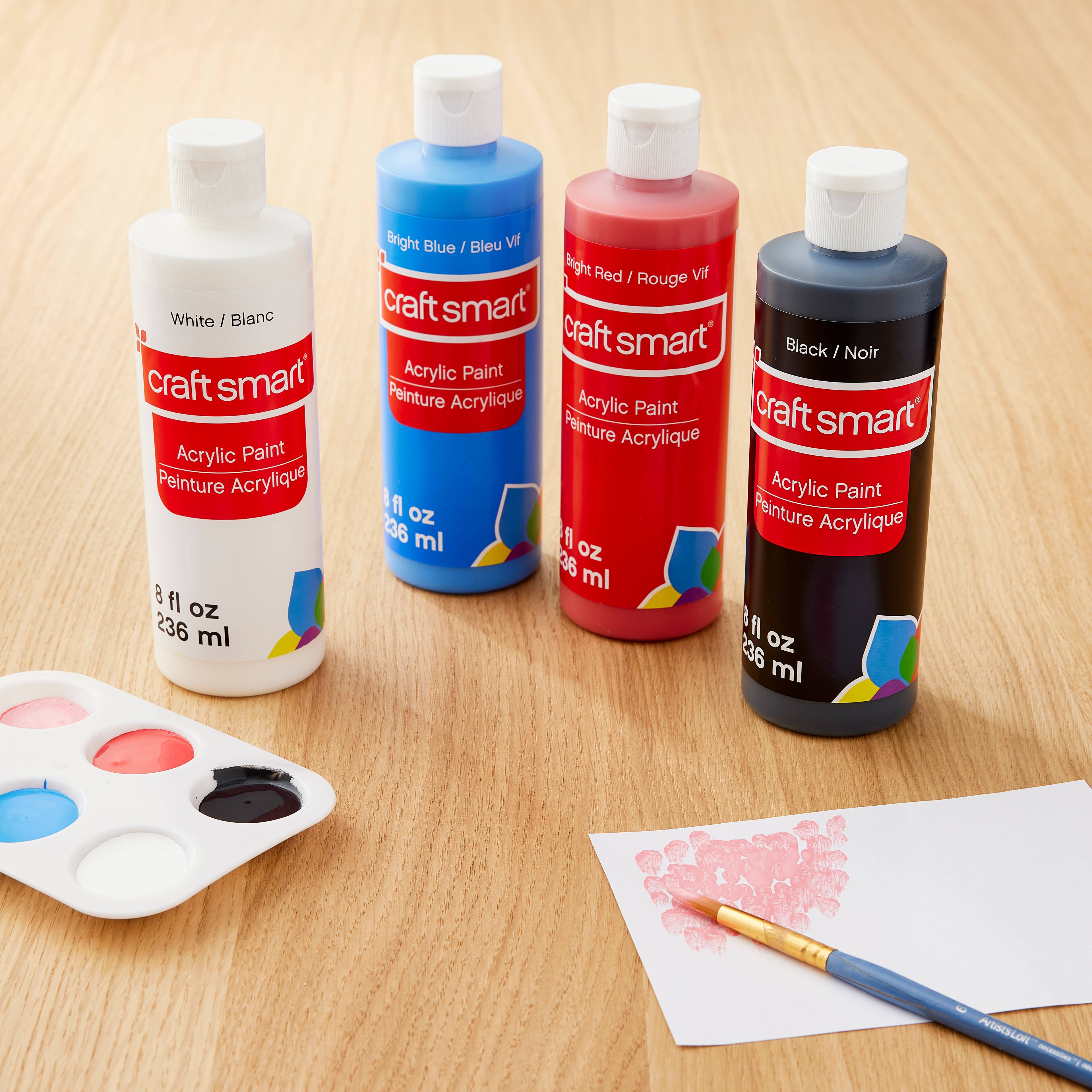 Primary Acrylic Paint Value 4 Piece Set by Craft Smart®