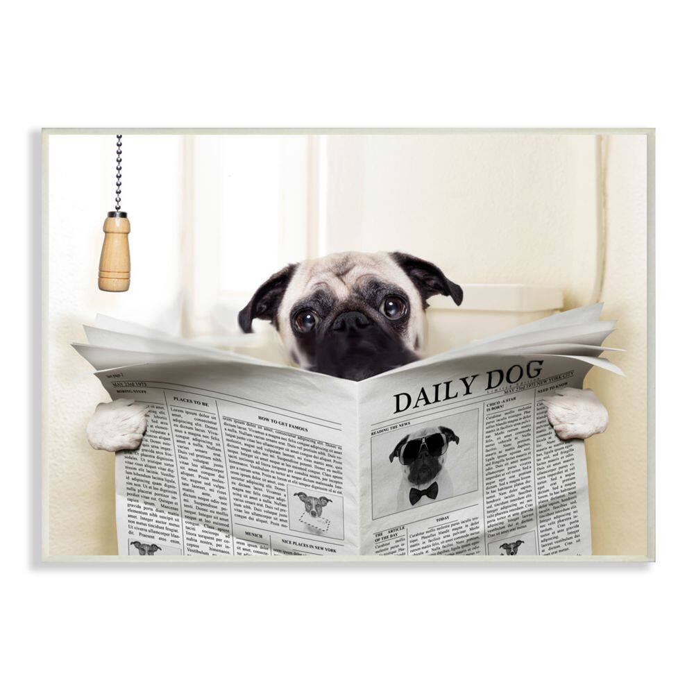 Stupell Industries Pug Reading Newspaper in Bathroom Wall Plaque
