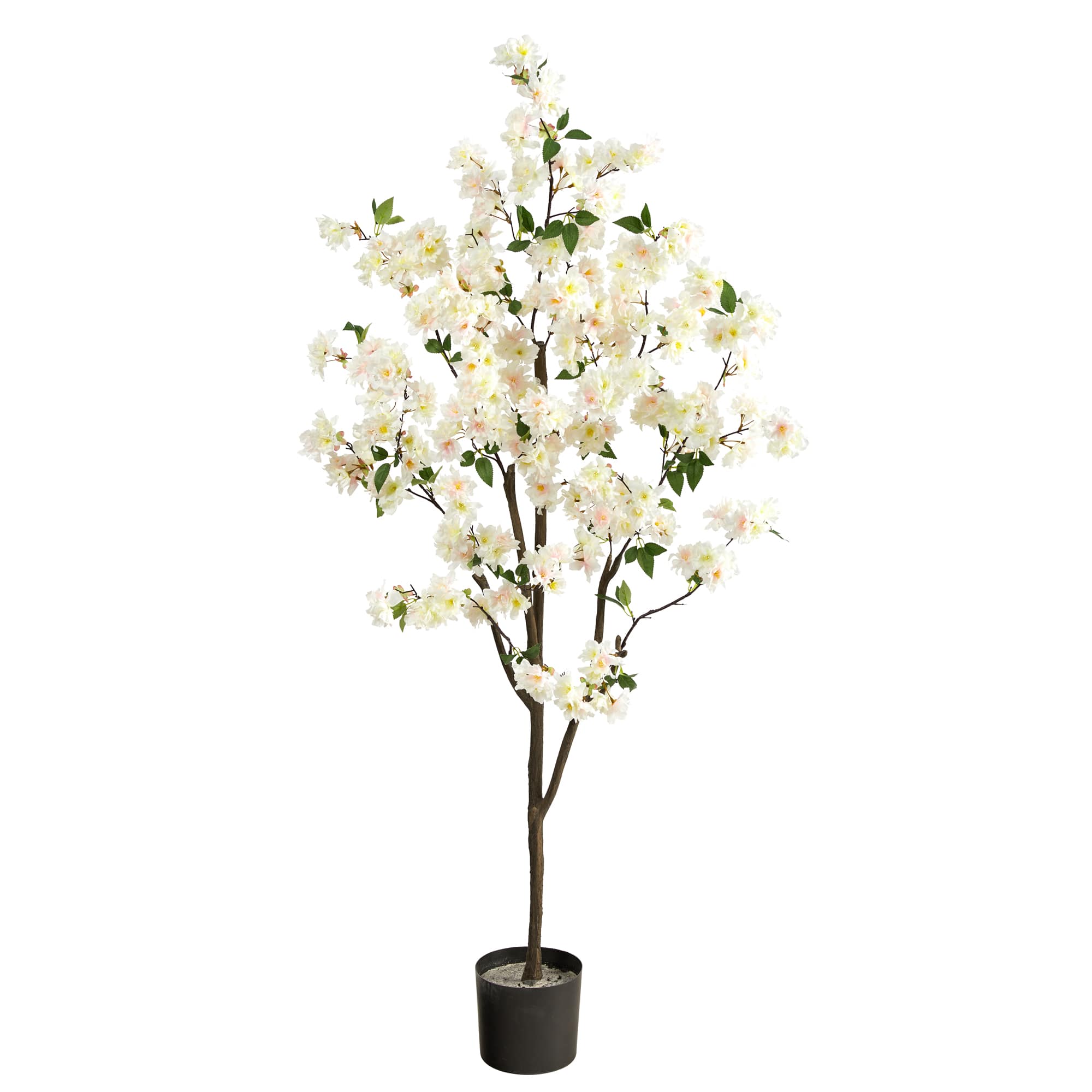 6ft. Potted White Cherry Blossom Tree | Michaels
