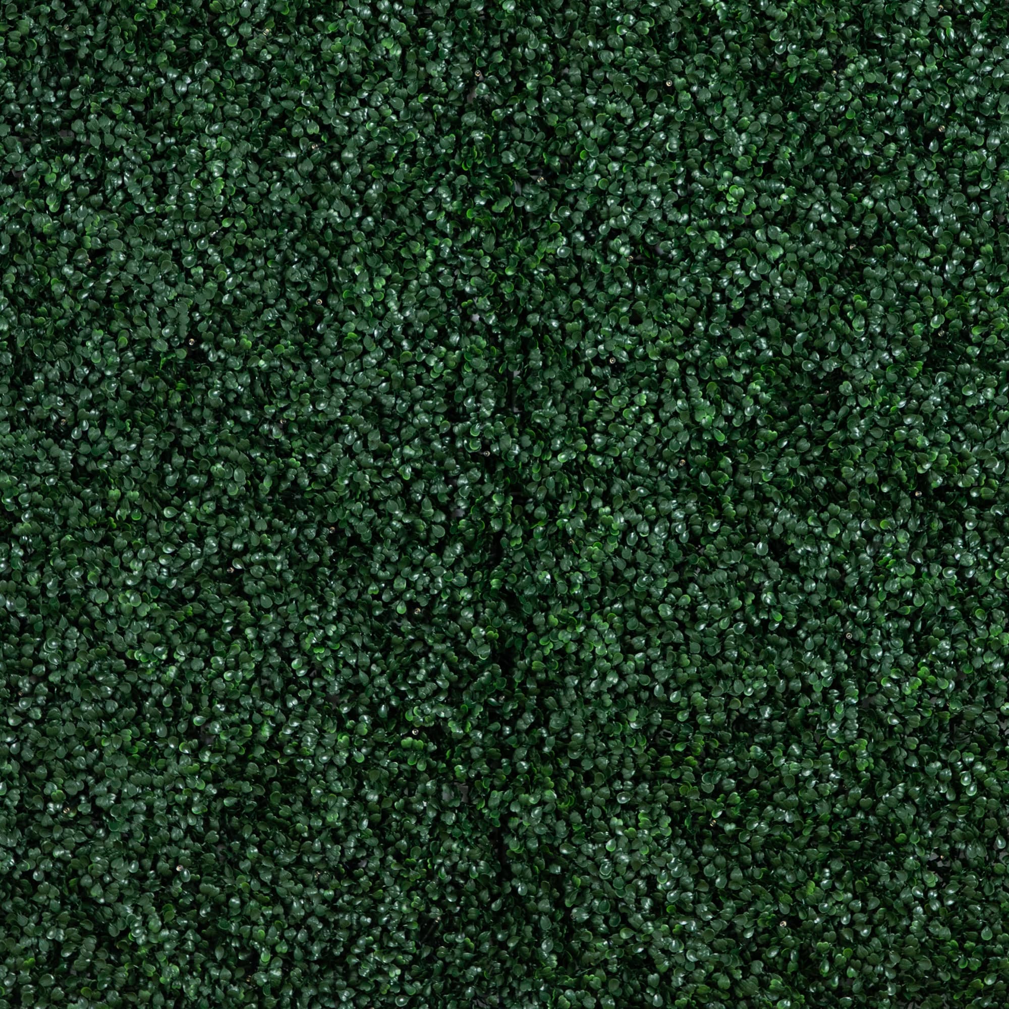 40" Pre-Lit Warm White LED Boxwood Artificial Living Wall Panel