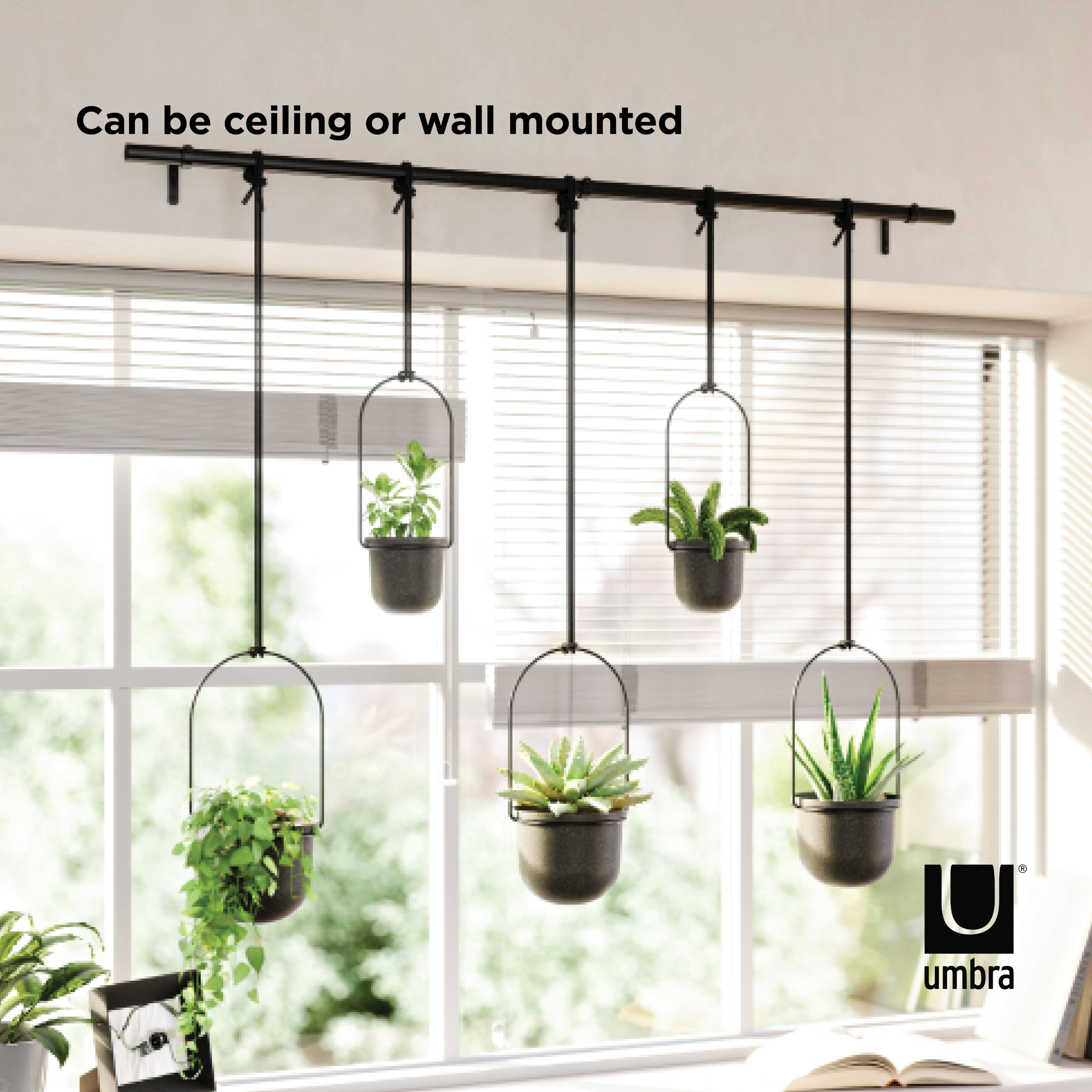 Umbra Black Triflora Hanging Planter Set