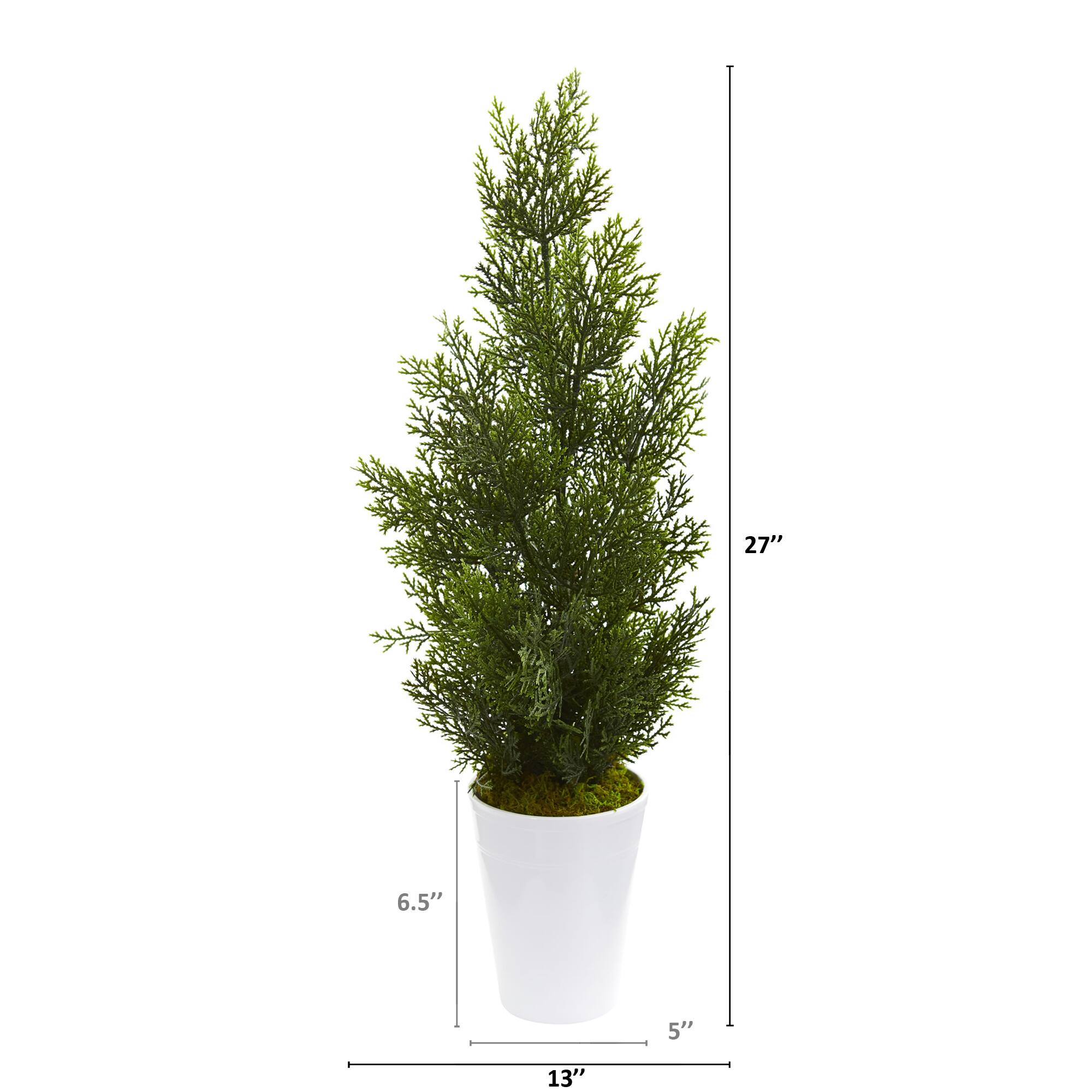 2.5ft. Mini Cedar Pine Tree in Decorative Planter