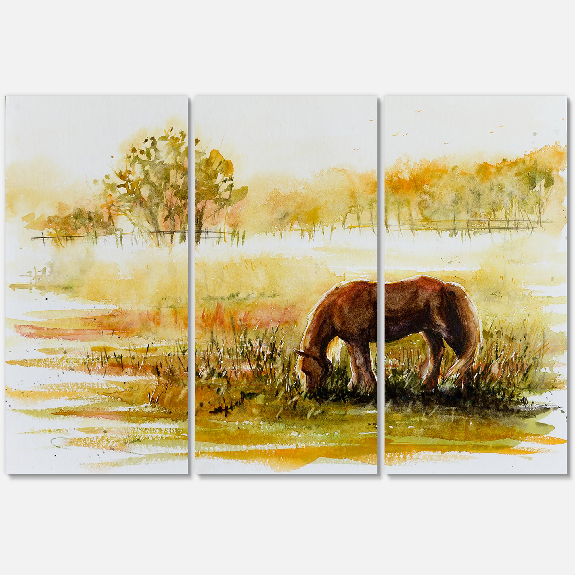 Designart - Horse Grazing On A Meadow - Farmhouse Canvas Wall Art Print