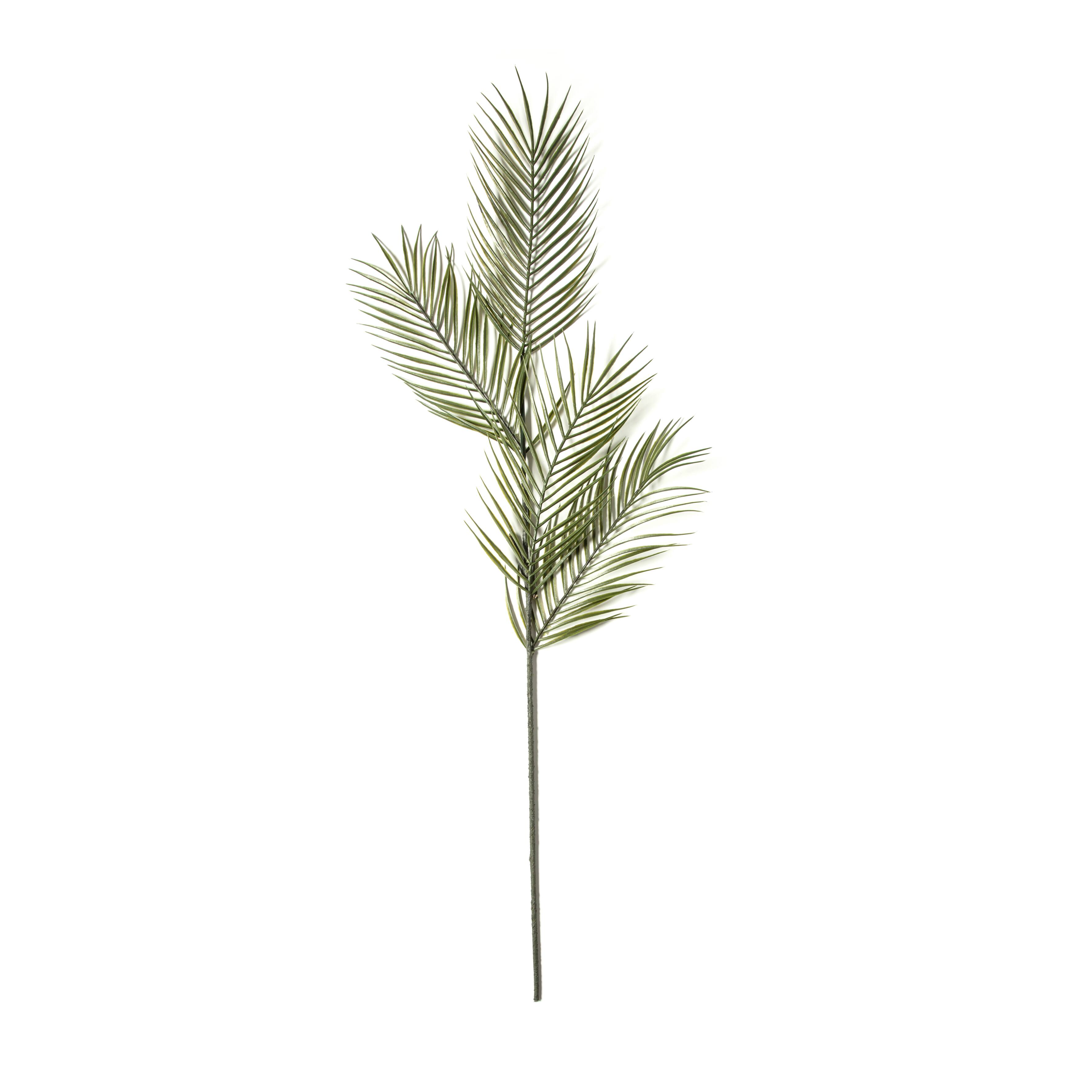 12 Pack: Green Tropical Areca Palm Stem by Ashland&#xAE;