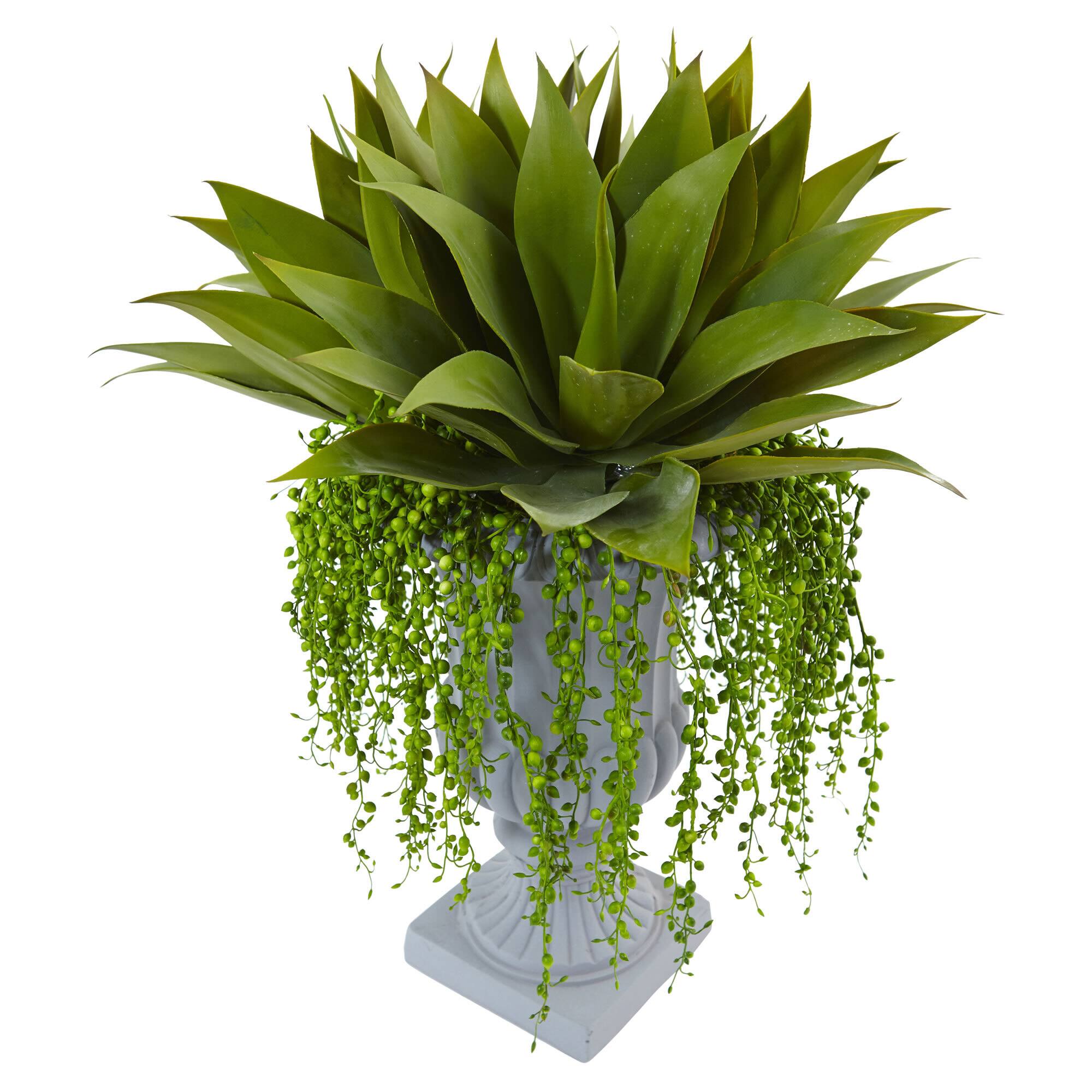27" Agave & Senecio Succulent Arrangement in Decorative Planter
