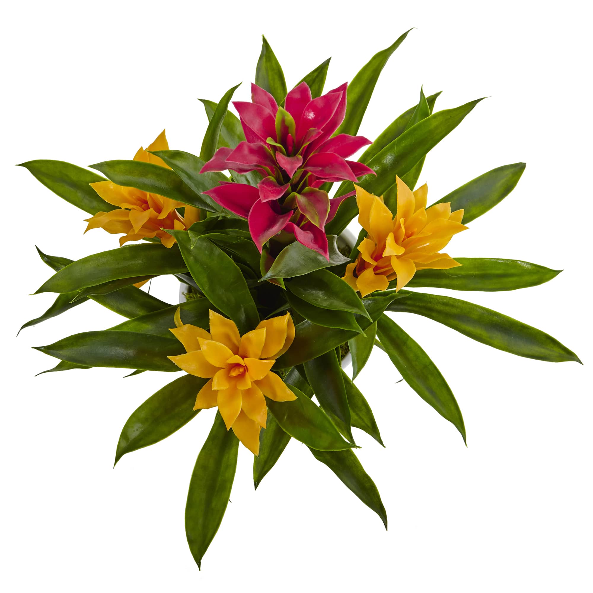 17" Tropical Bromeliad Plant in White Swirl Vase