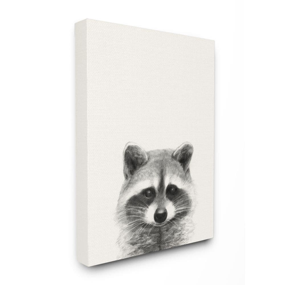 Stupell Industries Raccoon Portrait Grey Drawing Design Canvas Wall Art