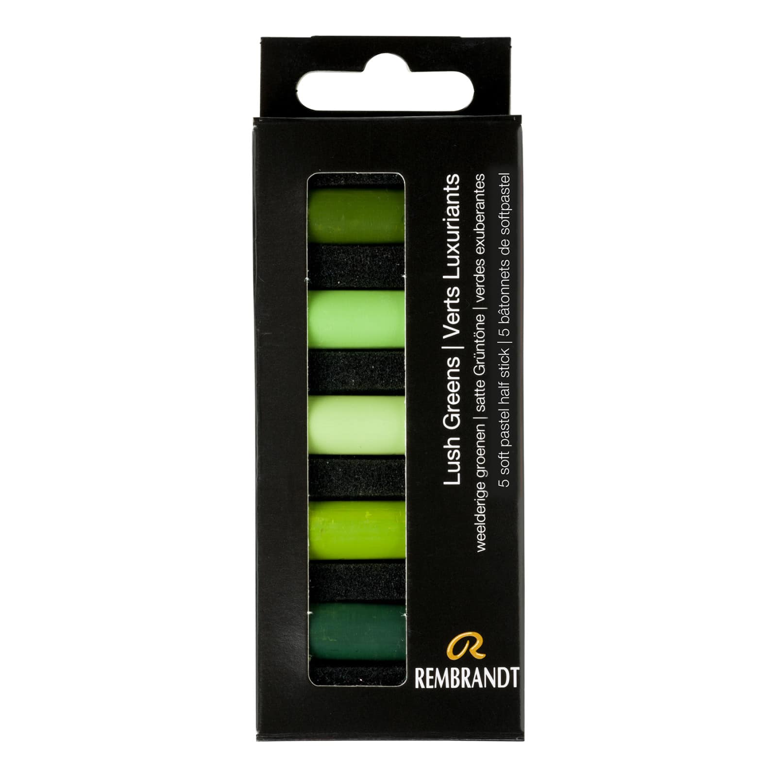 Rembrandt 5 Color Lush Greens Half Stick Soft Pastel Set