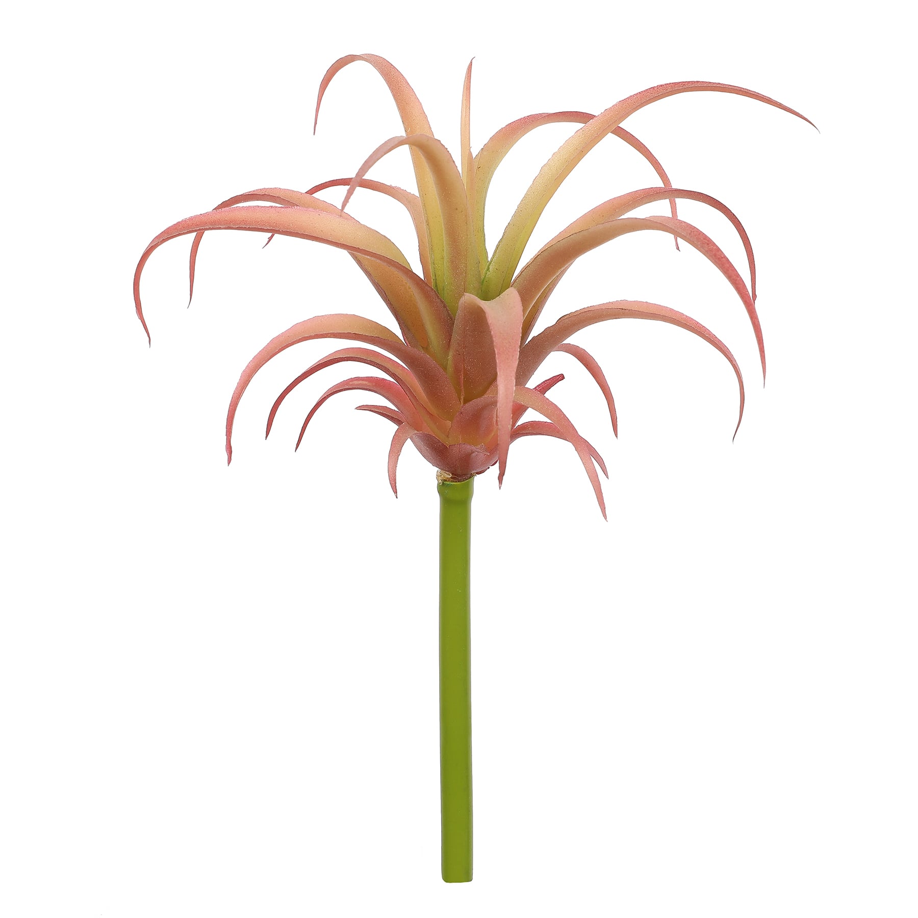 Assorted 7&#x22; Tillandsia Pick by Ashland&#xAE;