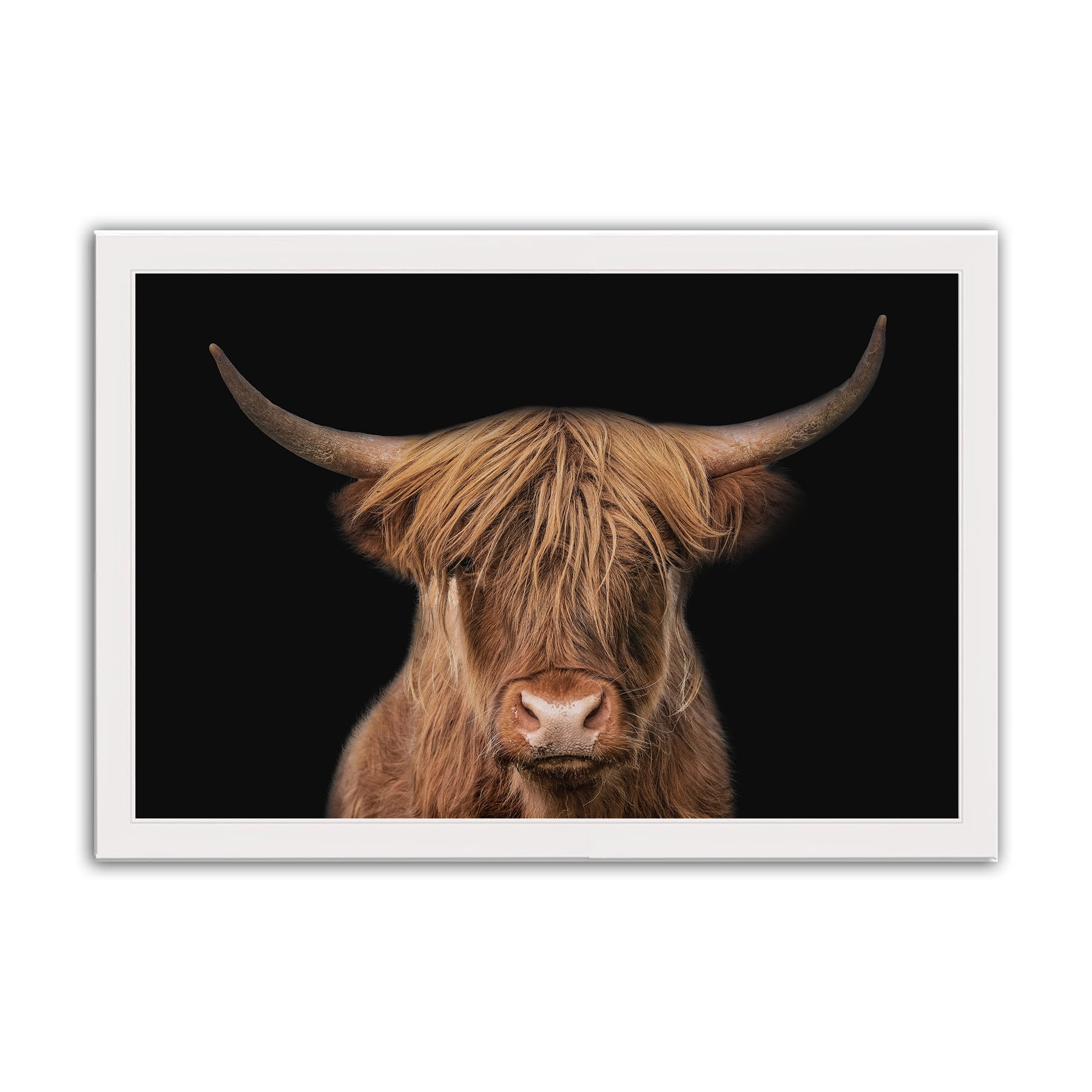 Moody Highland Cow 11