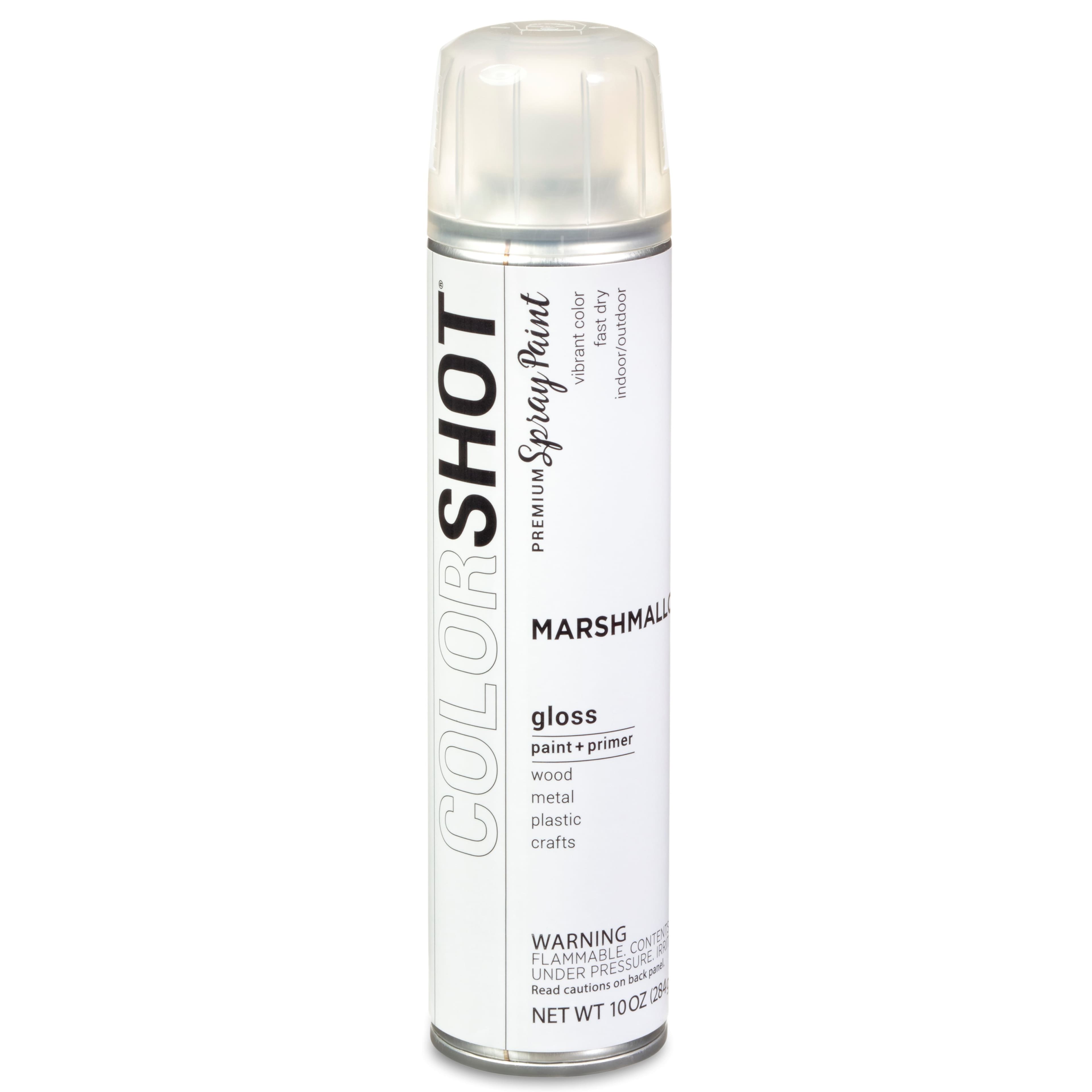 COLORSHOT® Premium Gloss Spray Paint