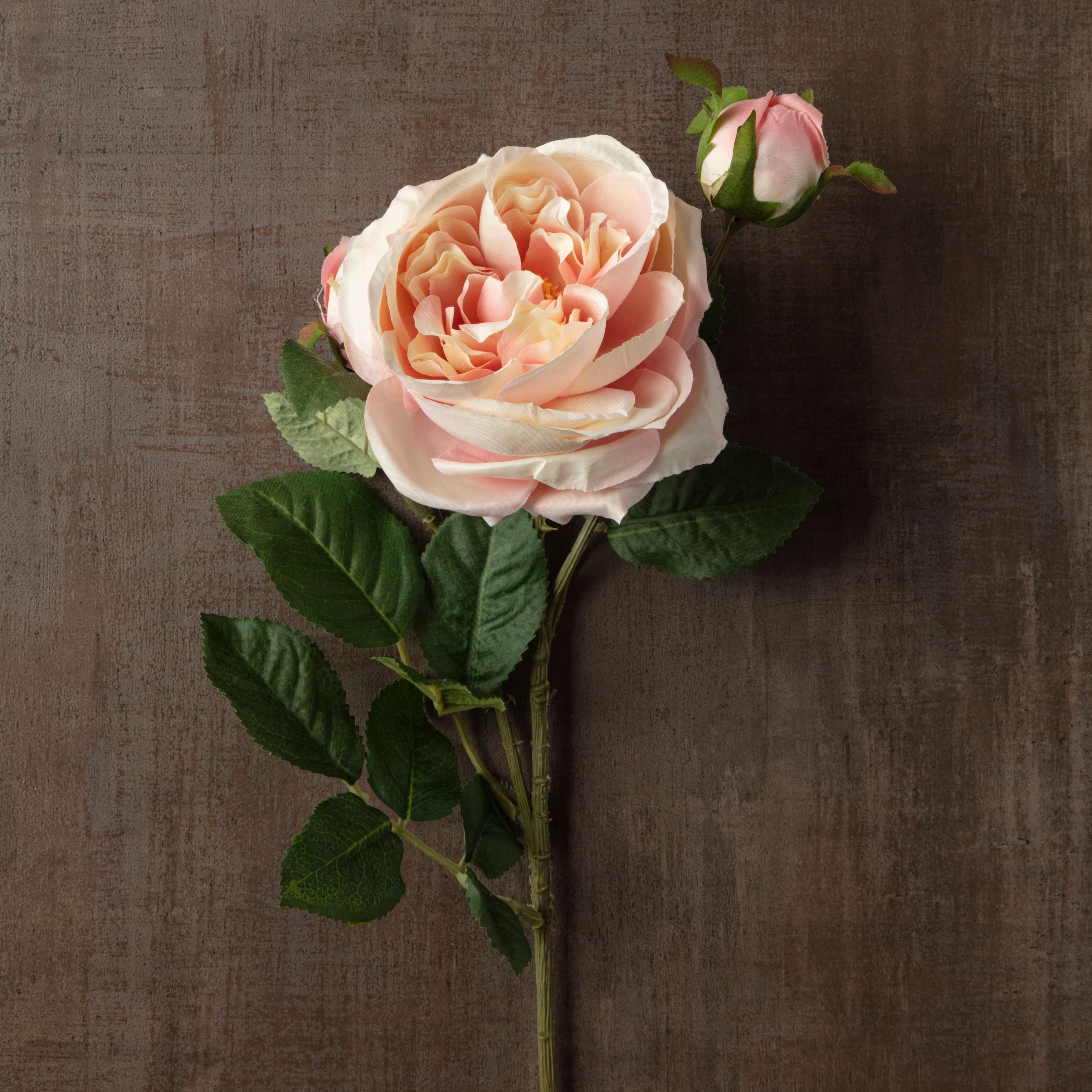 12 Pack: Light Pink English Rose Stem by Ashland®